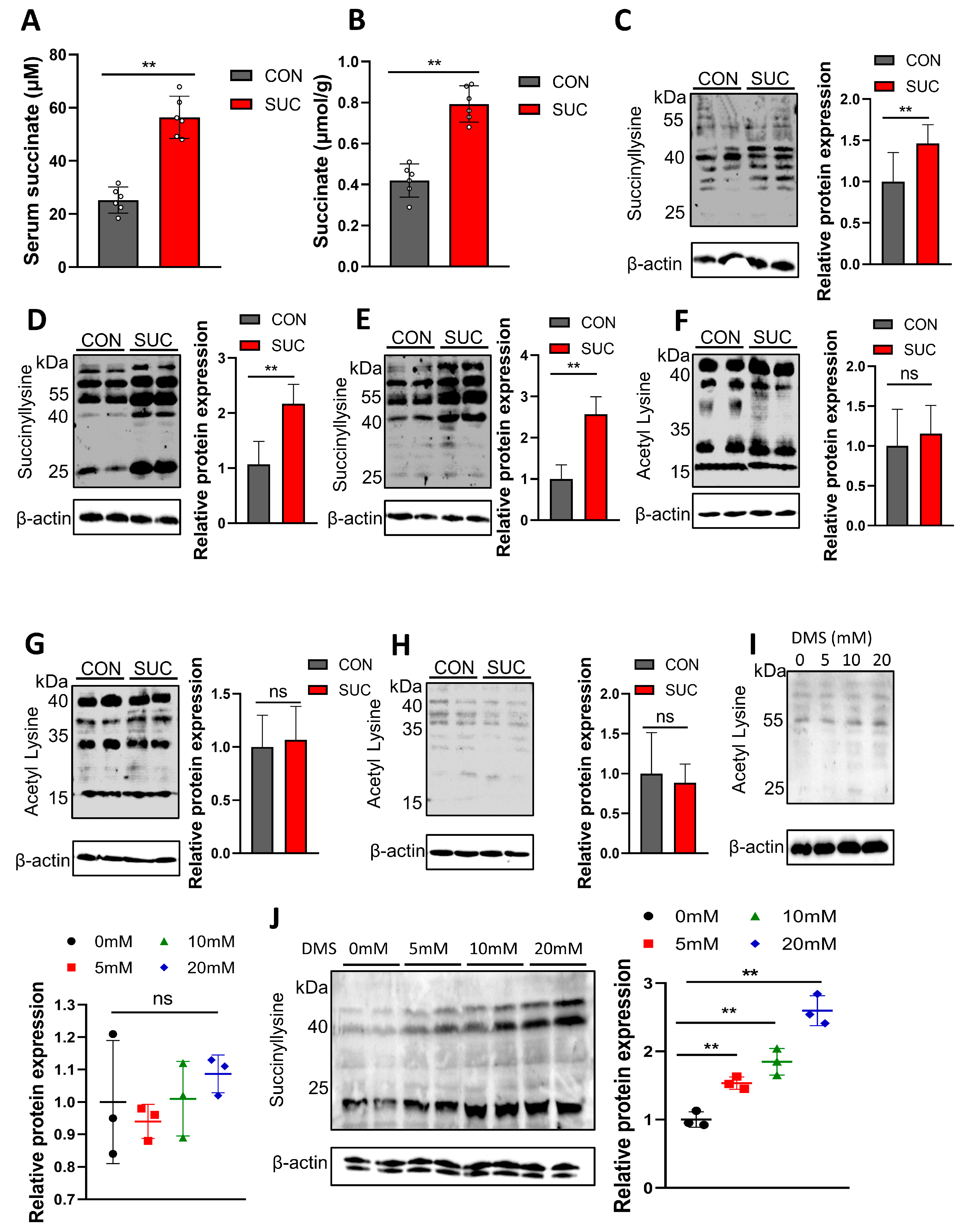 Animals 14 00999 g005