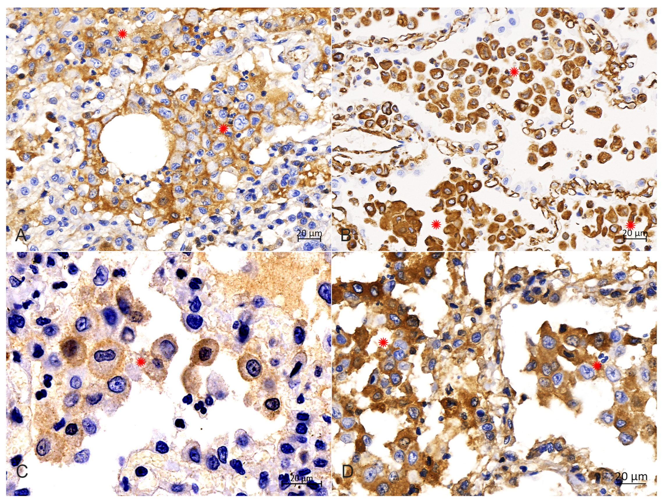 Animals 14 01011 g006