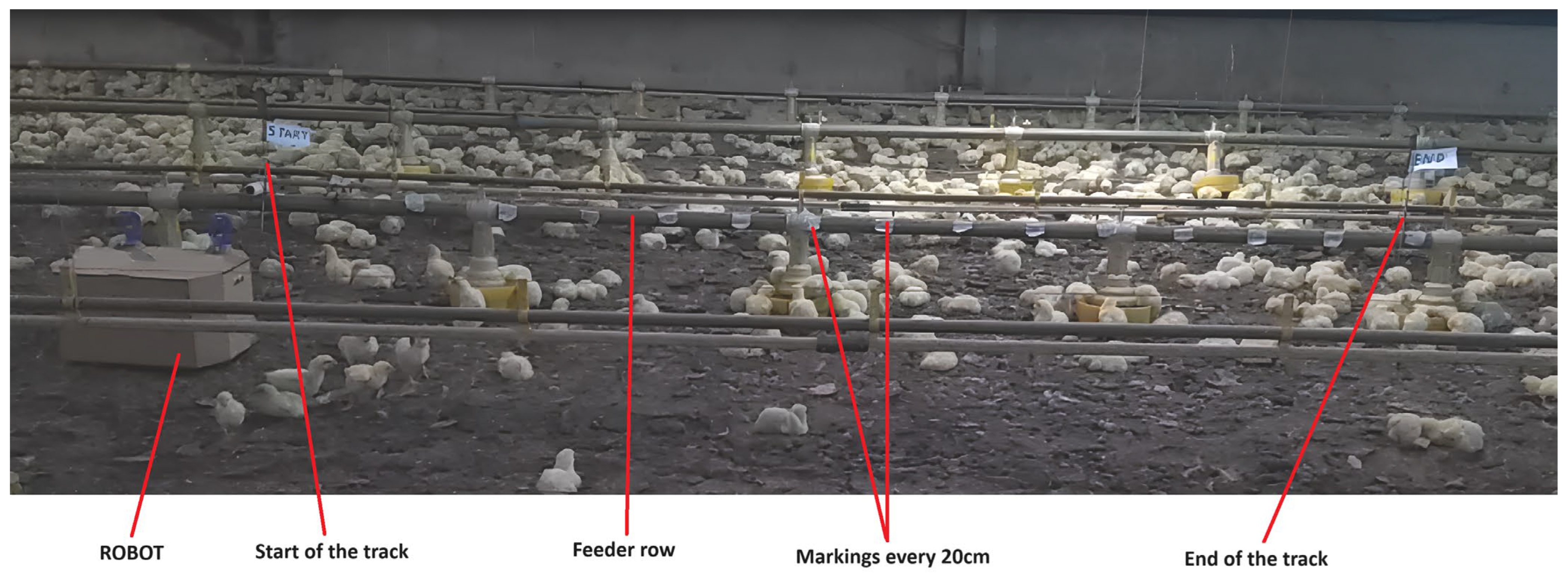 Animals 14 01014 g002