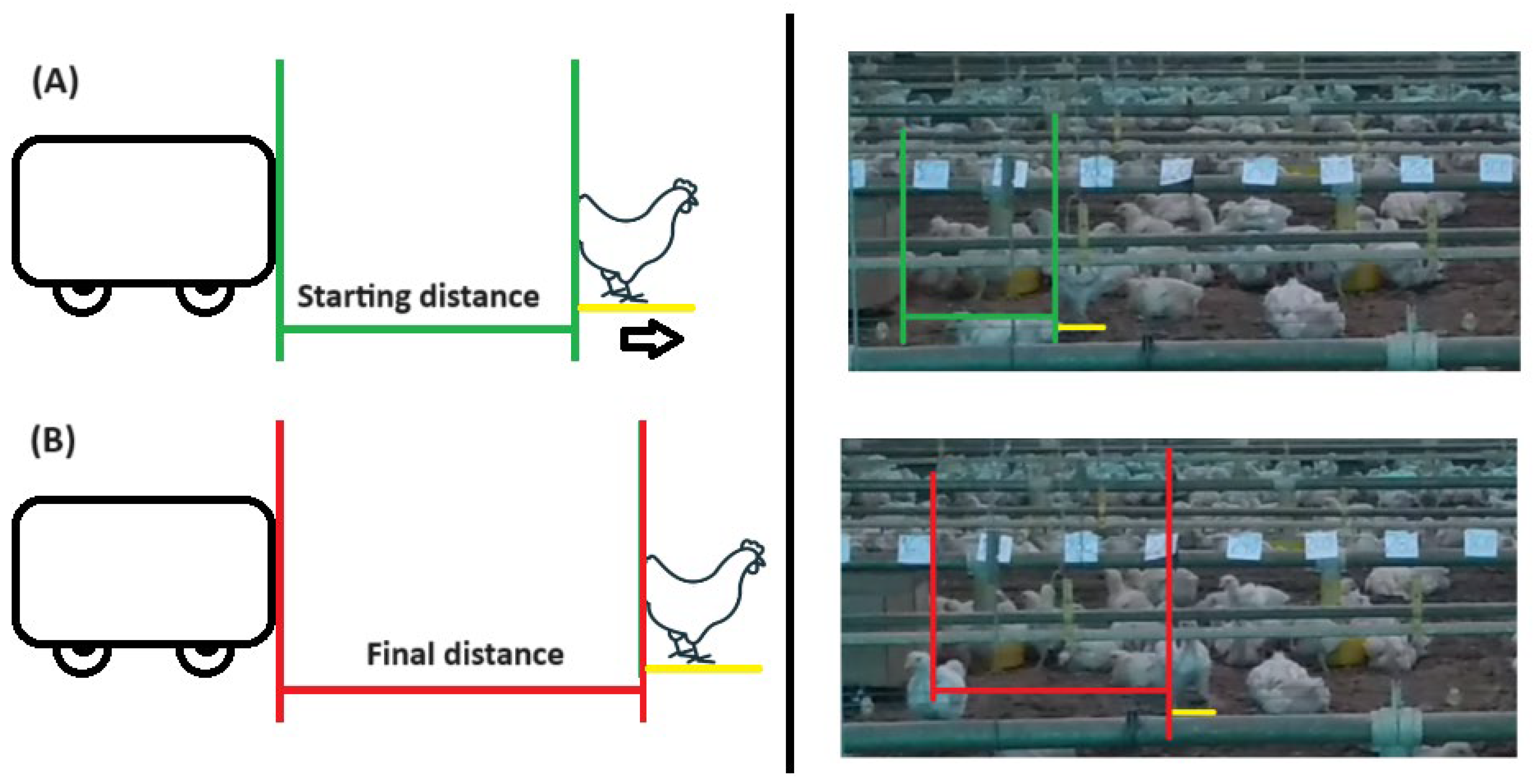 Animals 14 01014 g003