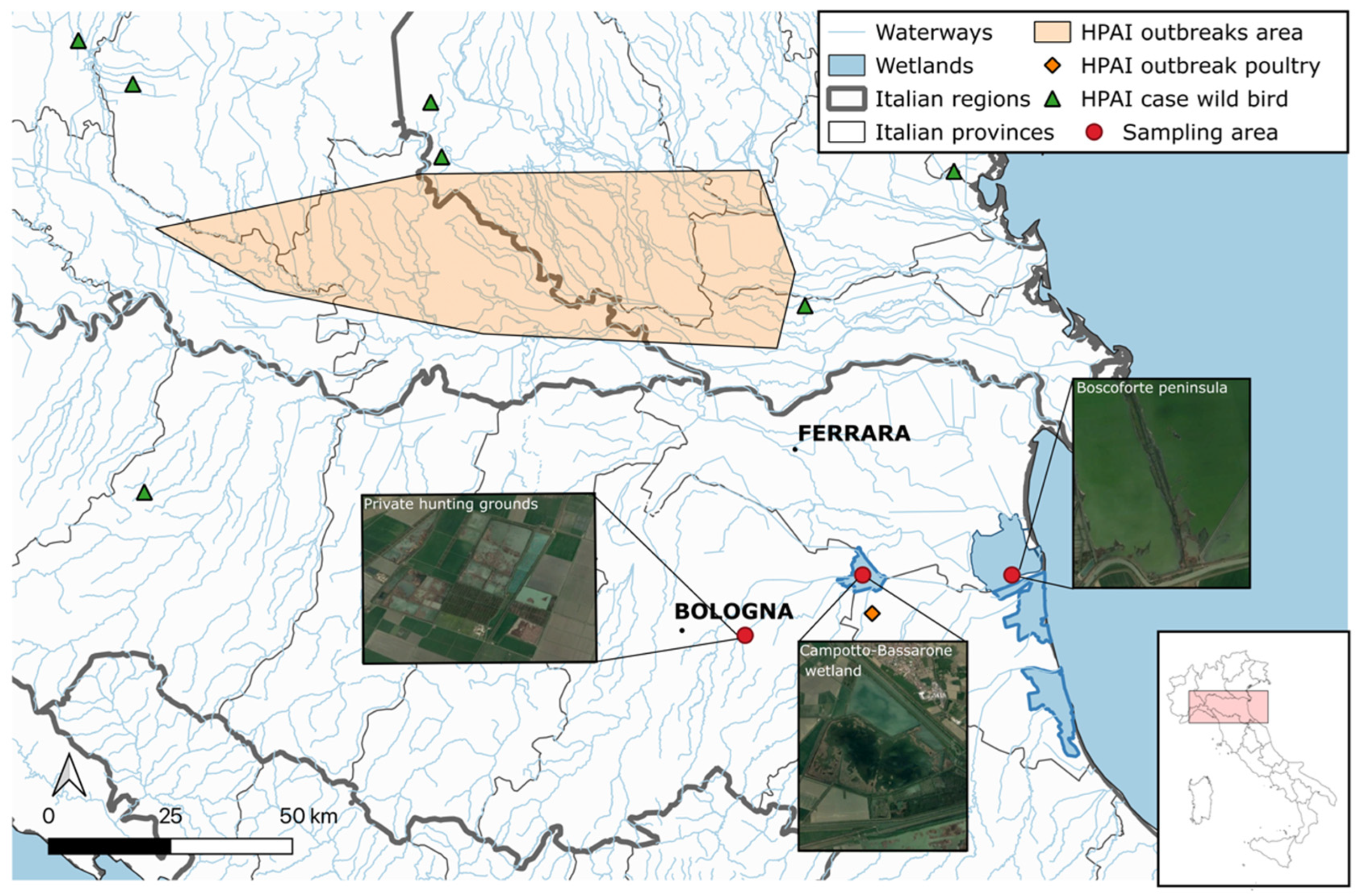 Animals 14 01018 g001