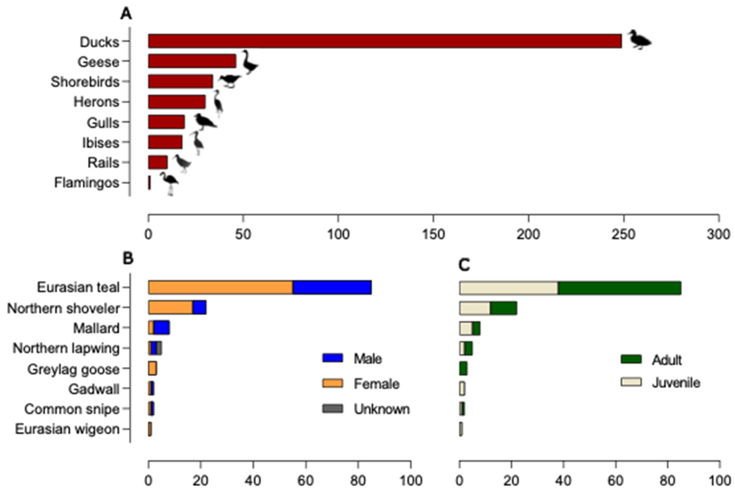Animals 14 01018 g002