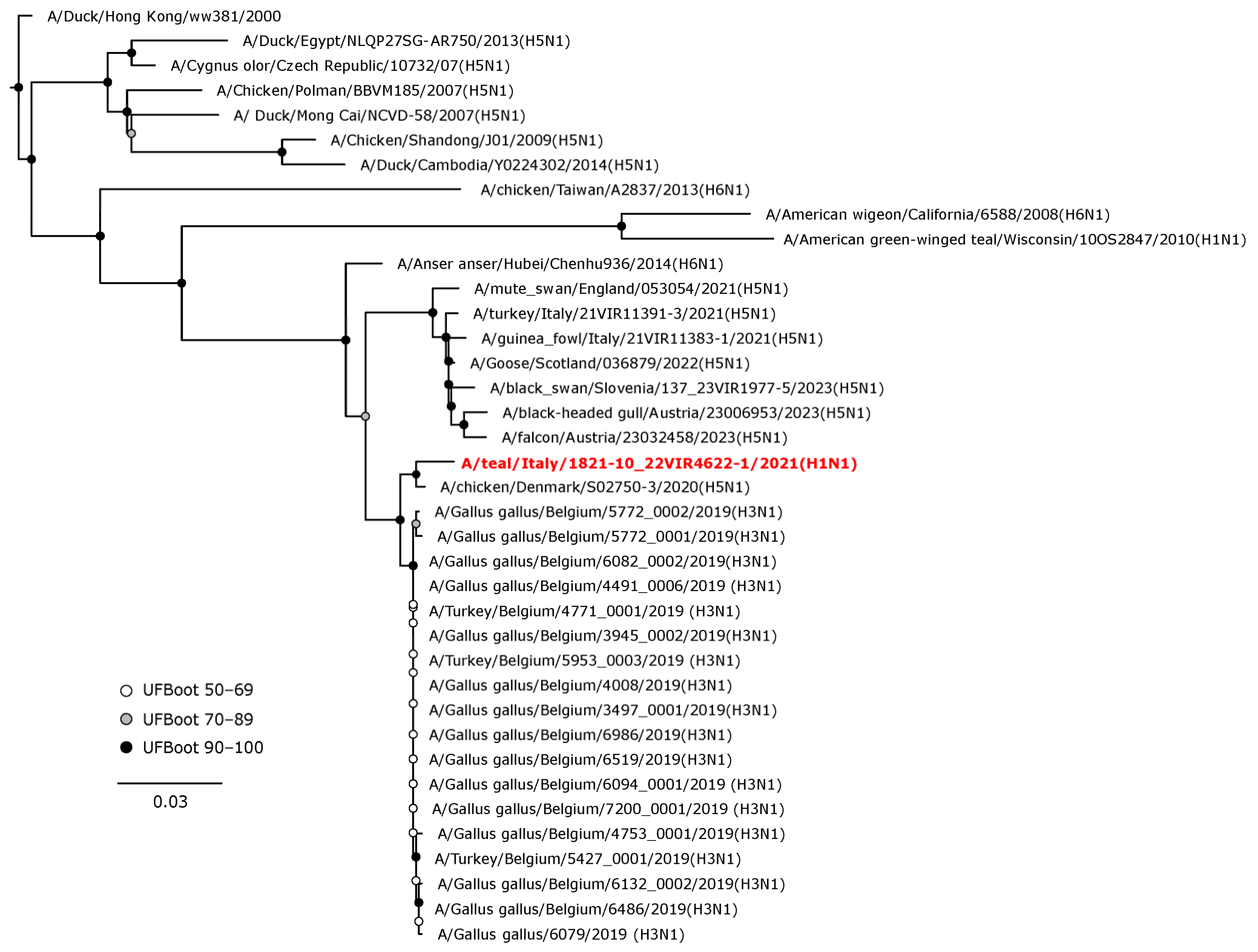 Animals 14 01018 g006