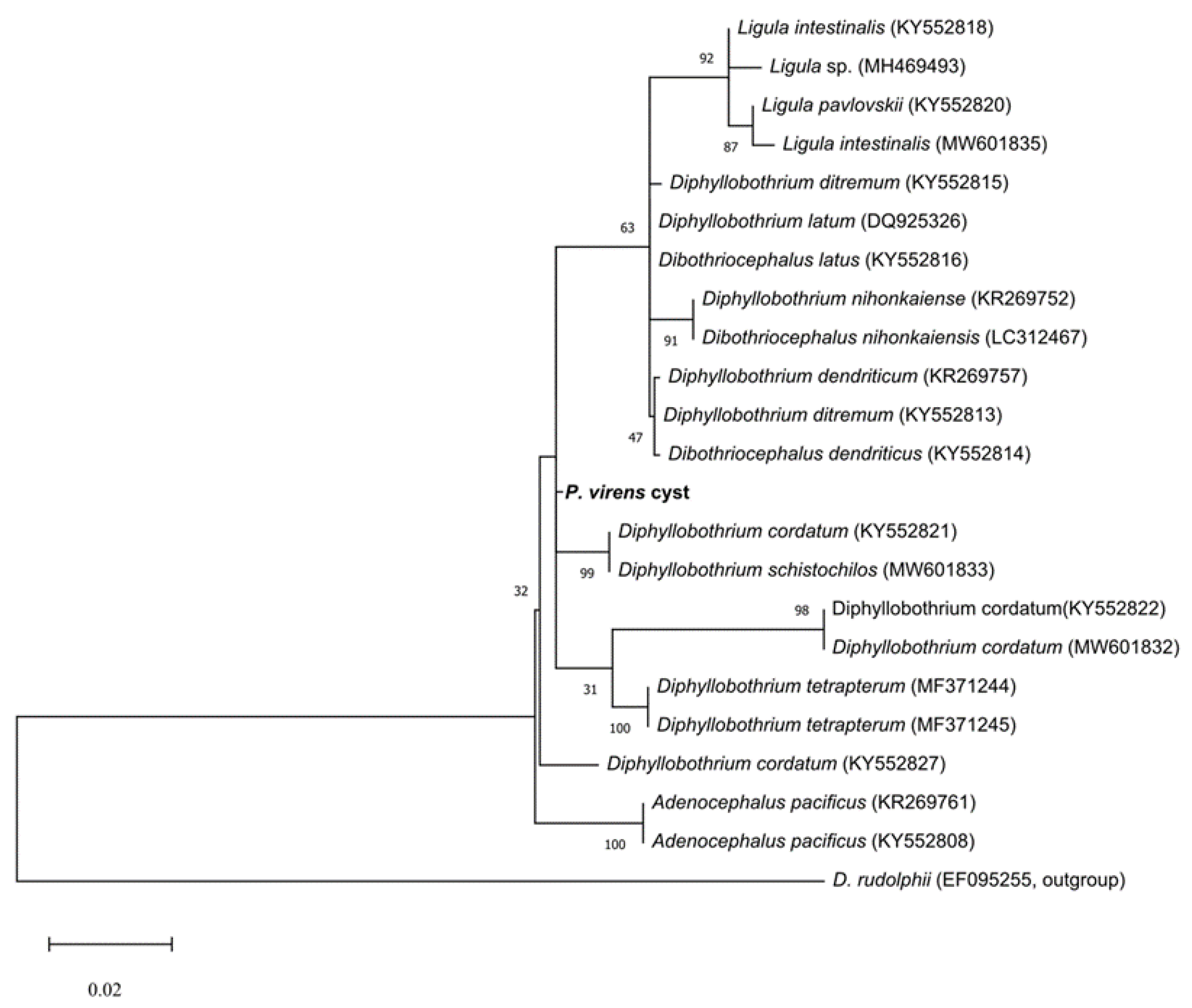 Animals 14 01029 g001