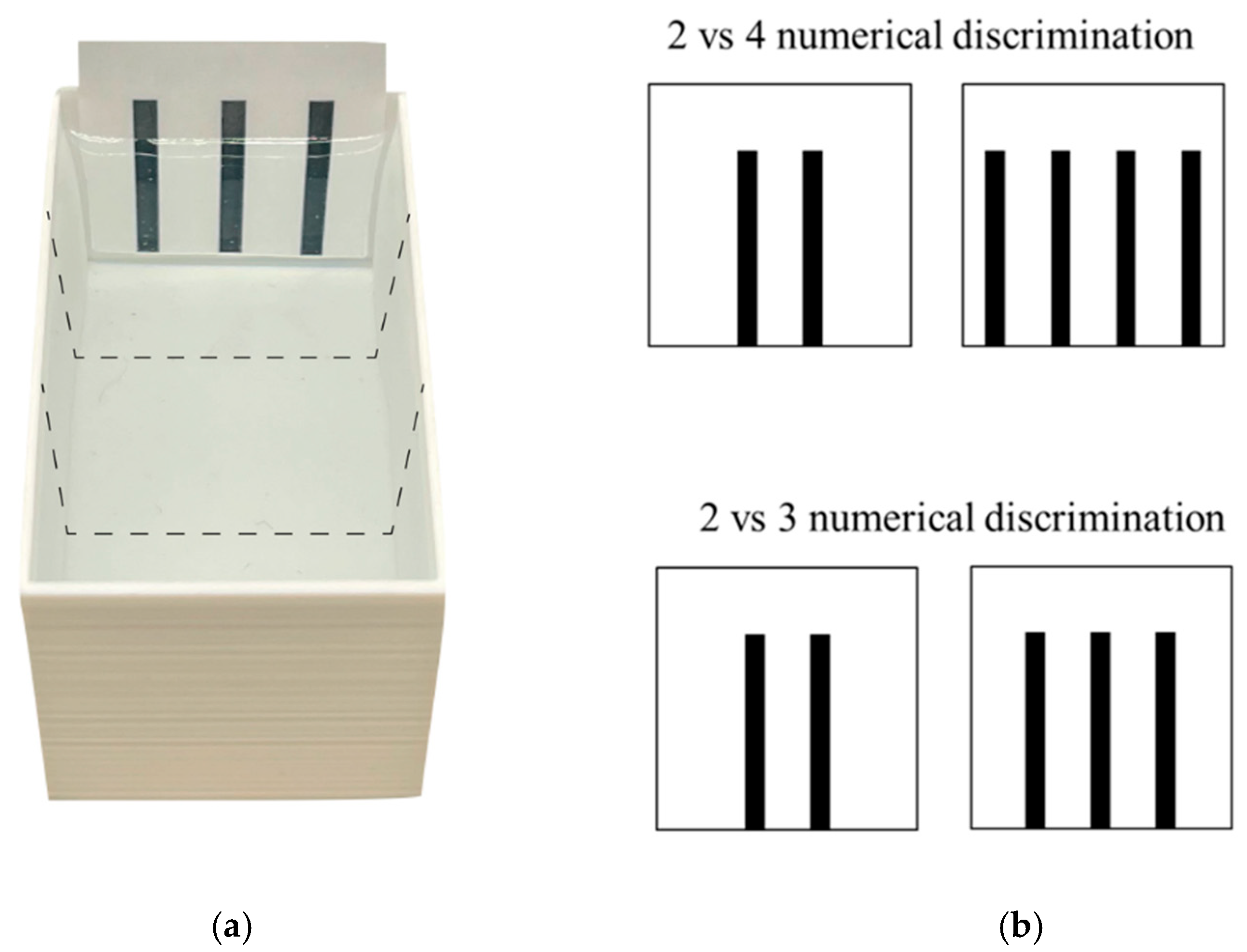Animals 14 01031 g002