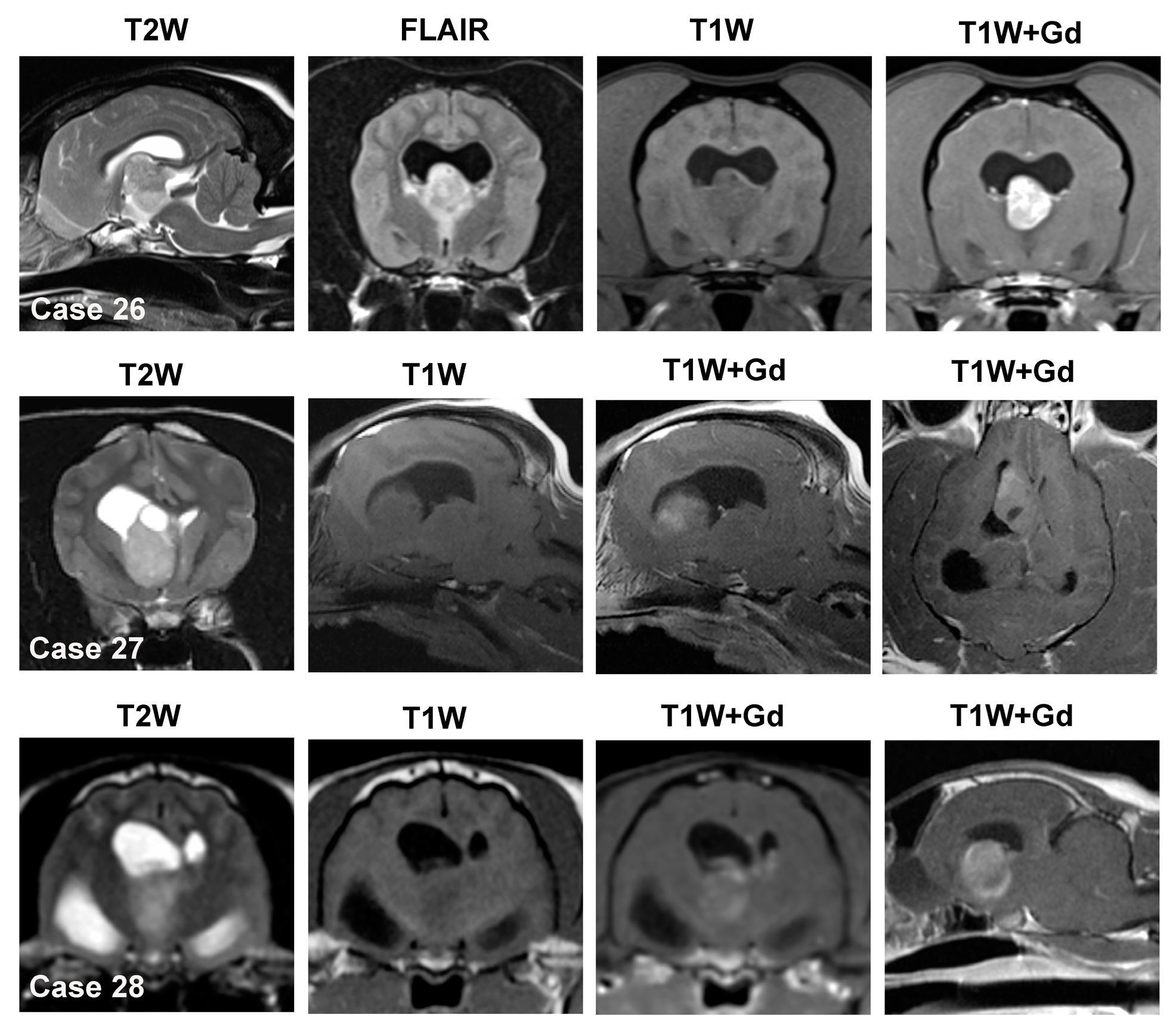 Animals 14 01044 g007