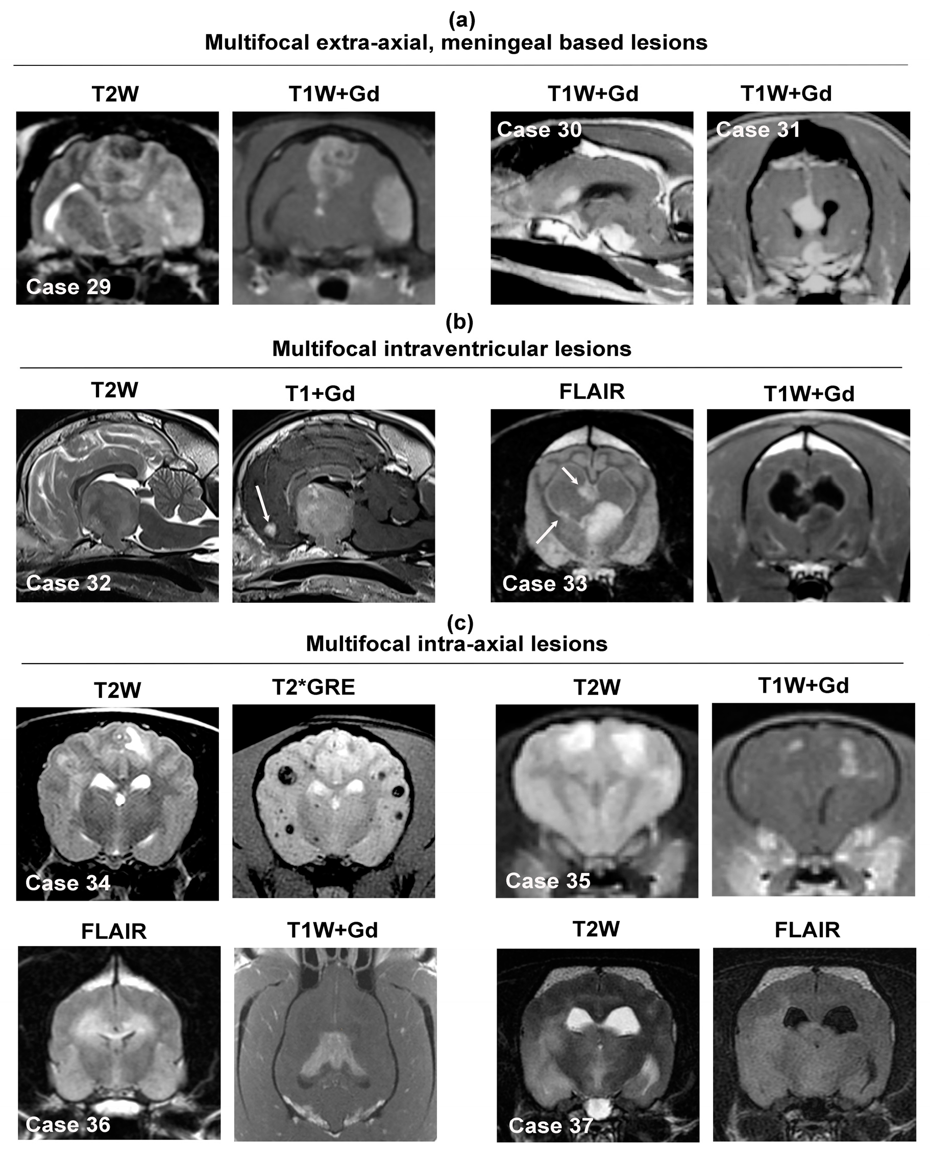 Animals 14 01044 g008