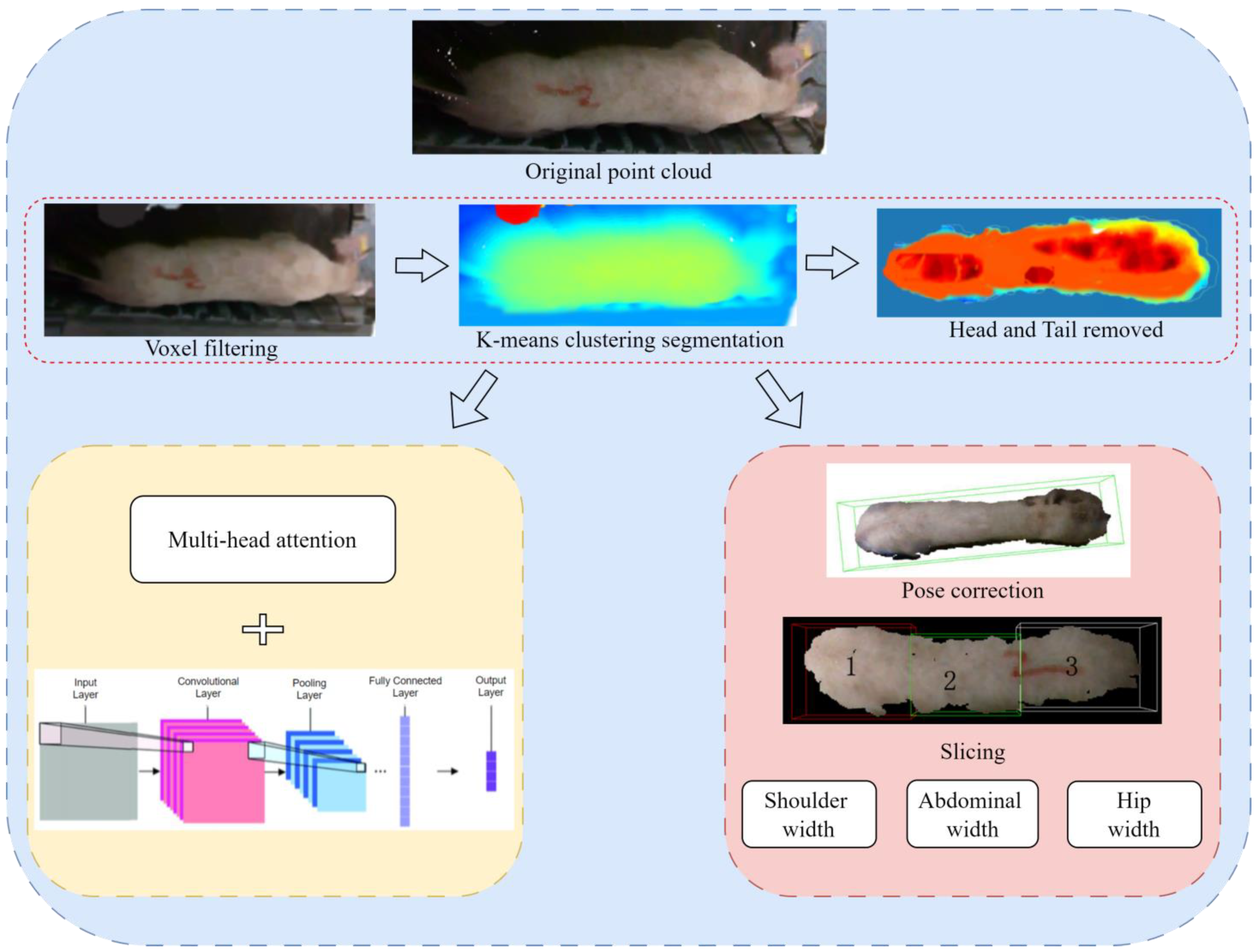 Animals 14 01046 g004