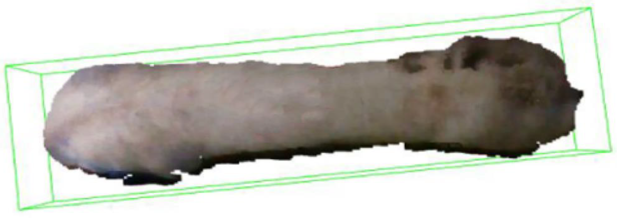 Animals 14 01046 g008