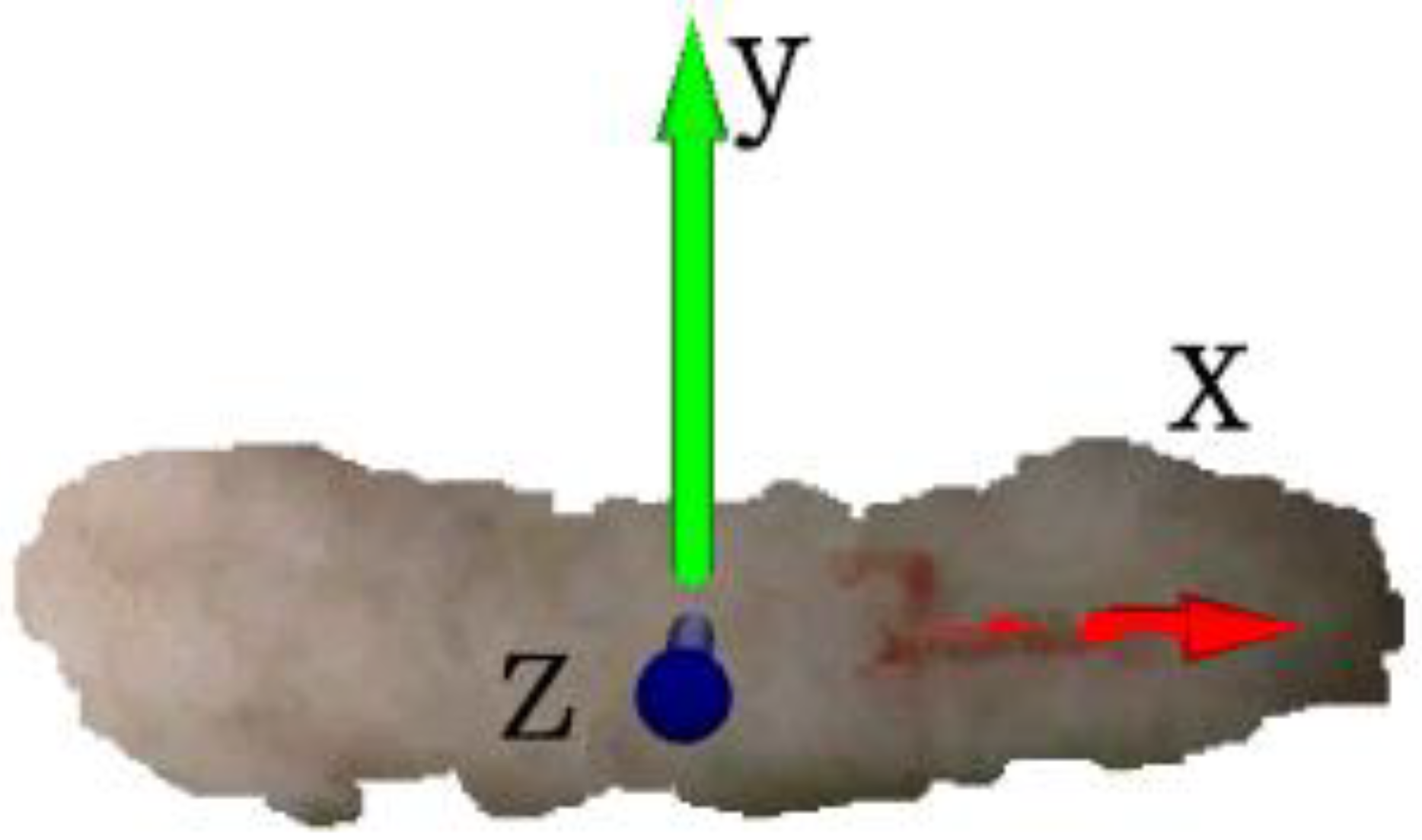 Animals 14 01046 g015