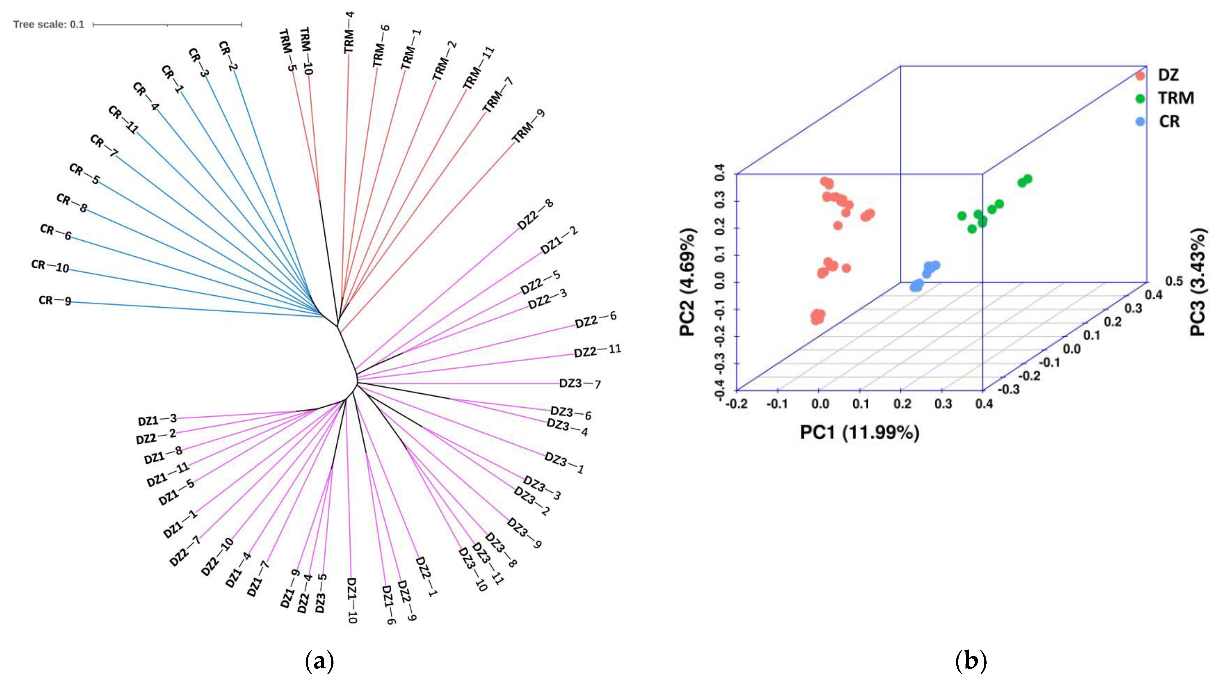 Animals 14 01047 g003
