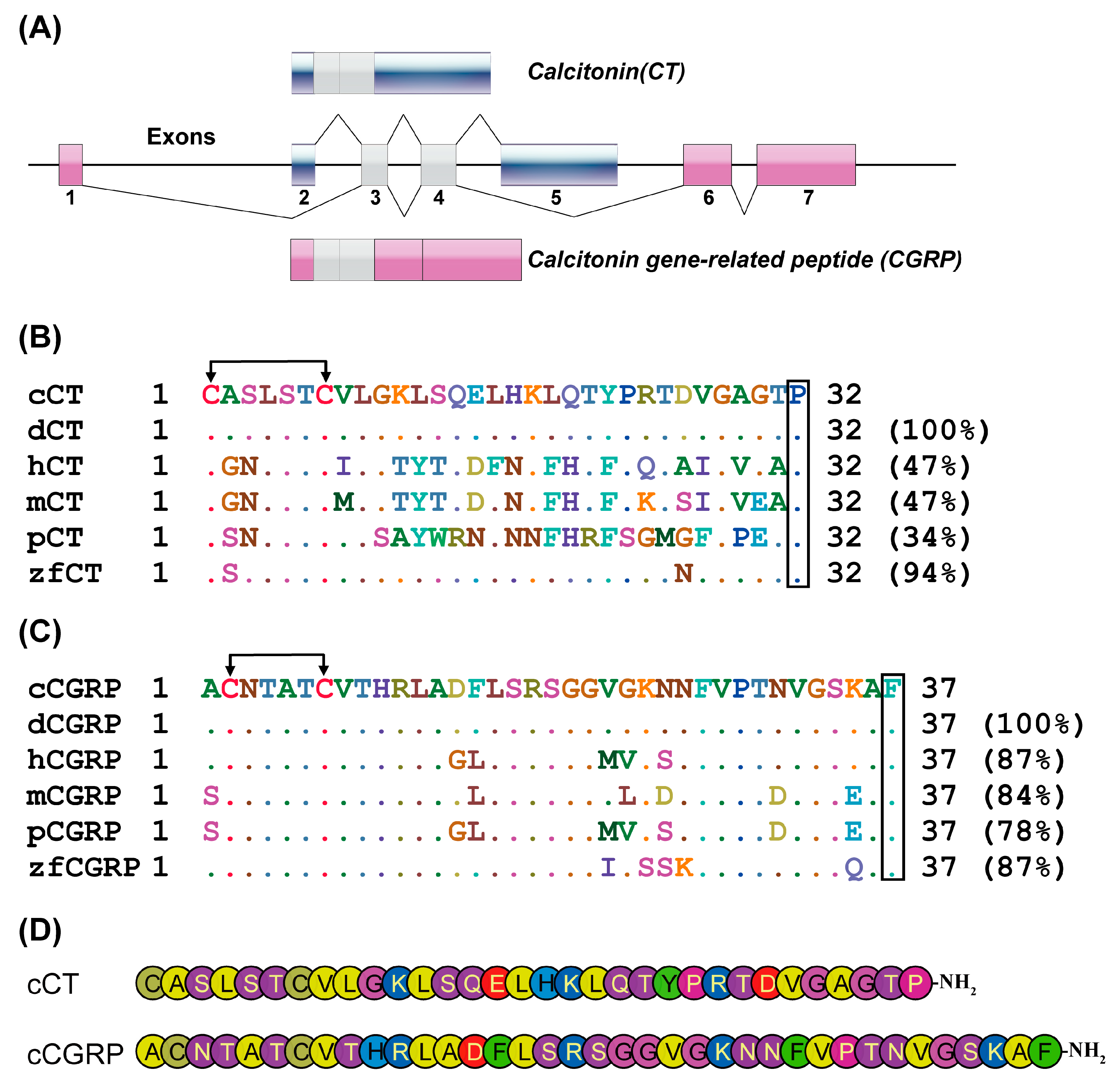 Animals 14 01058 g001