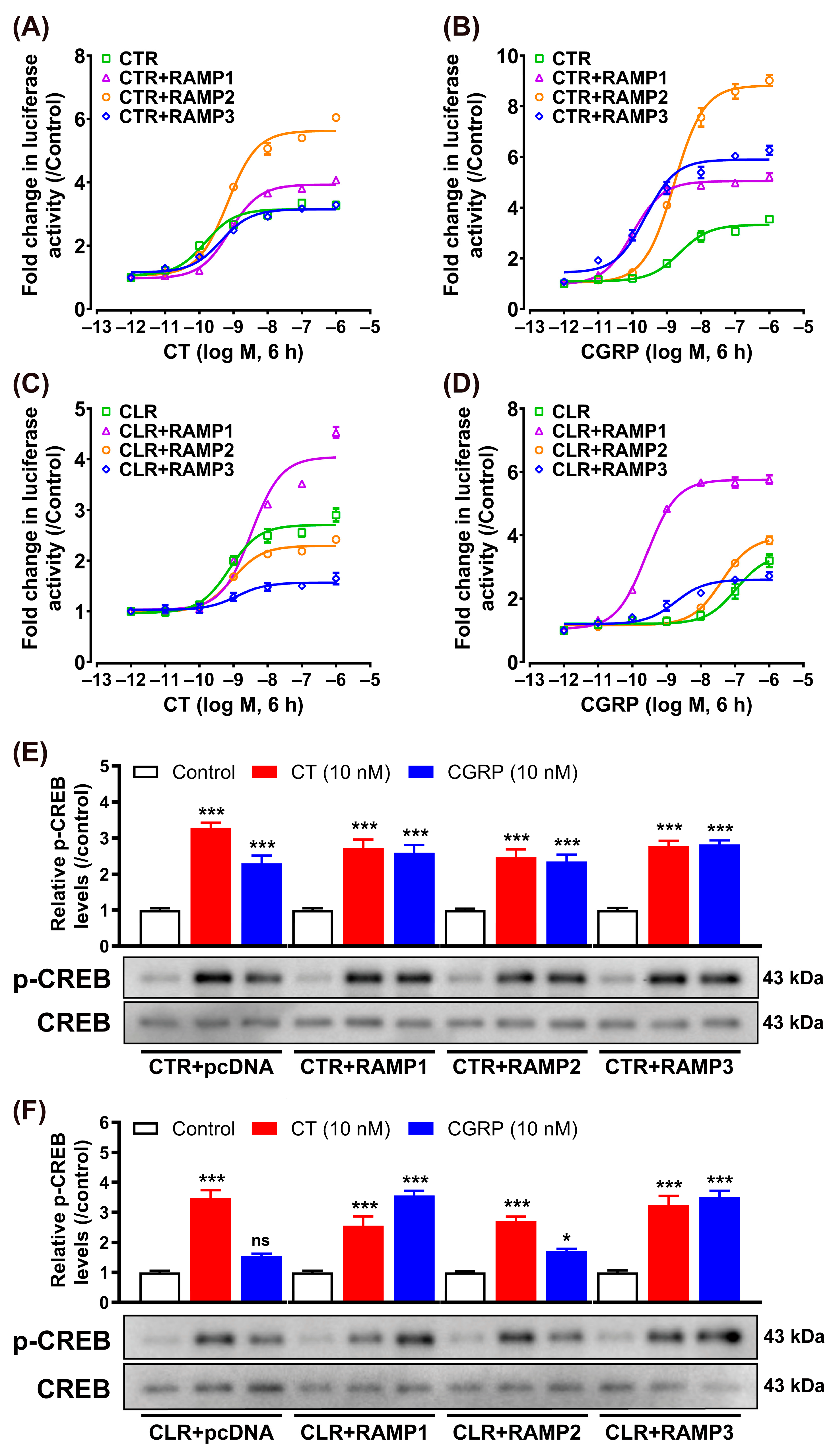 Animals 14 01058 g003