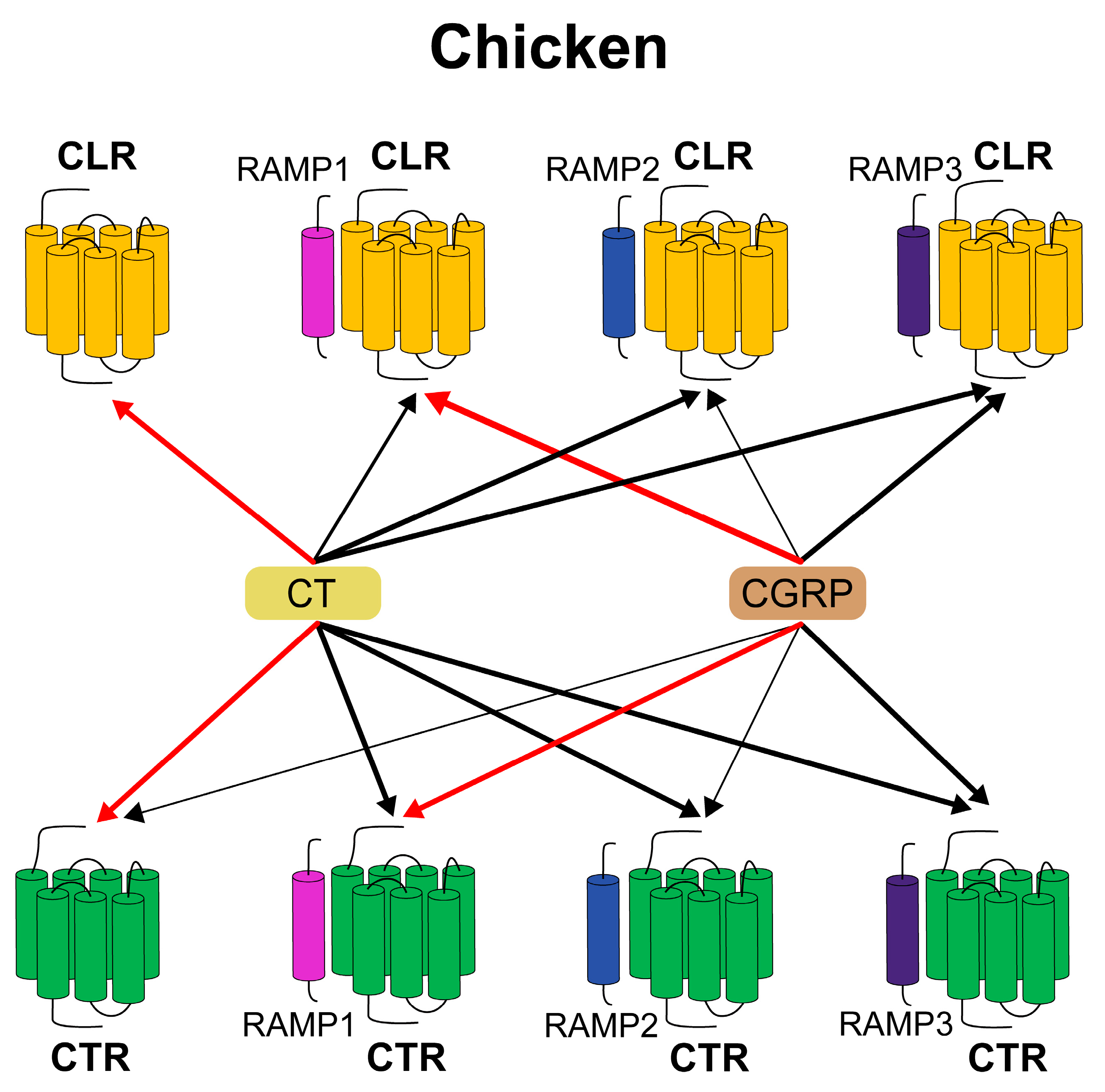 Animals 14 01058 g008