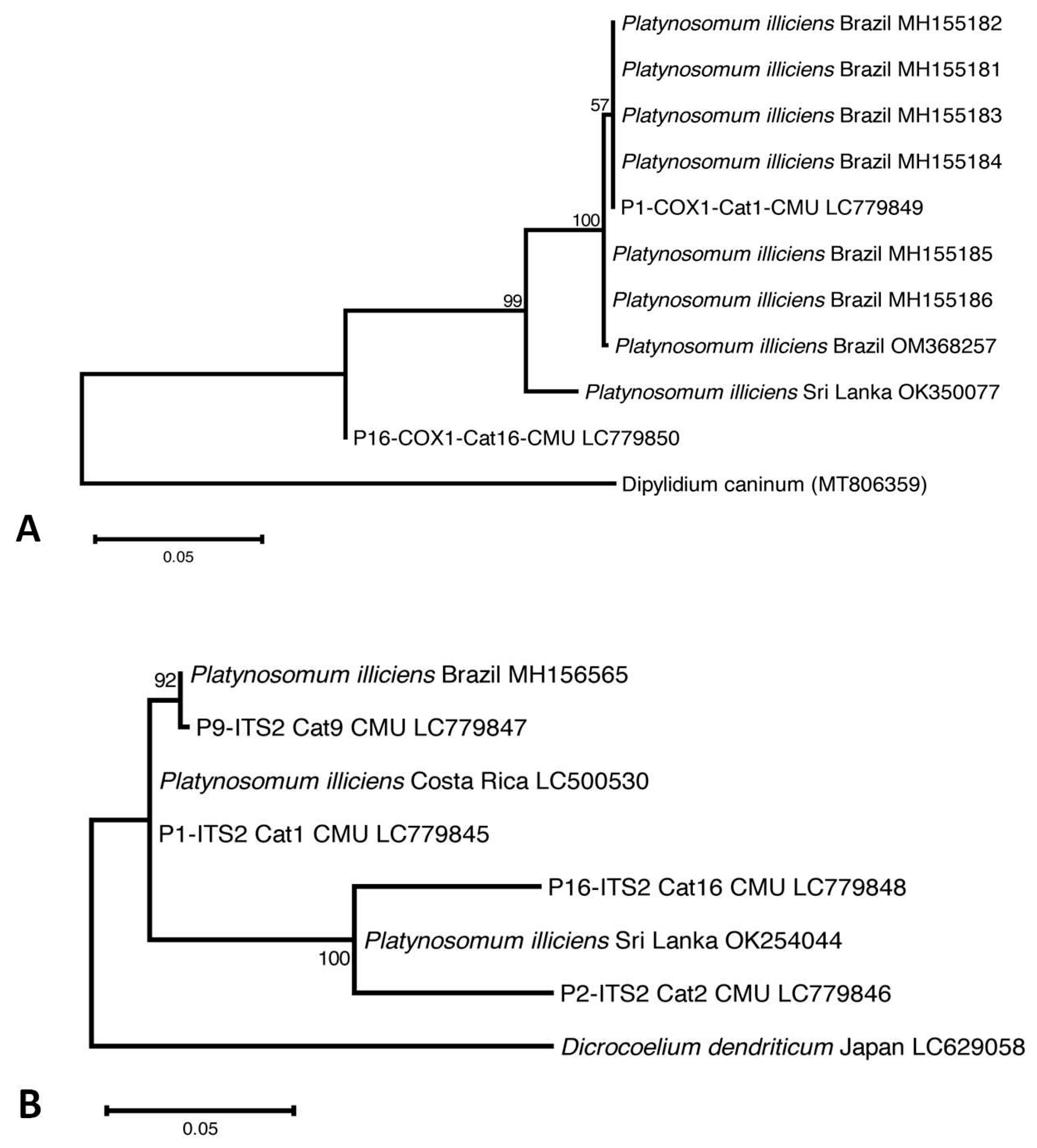 Animals 14 01065 g003 Animals 14 01065 g003