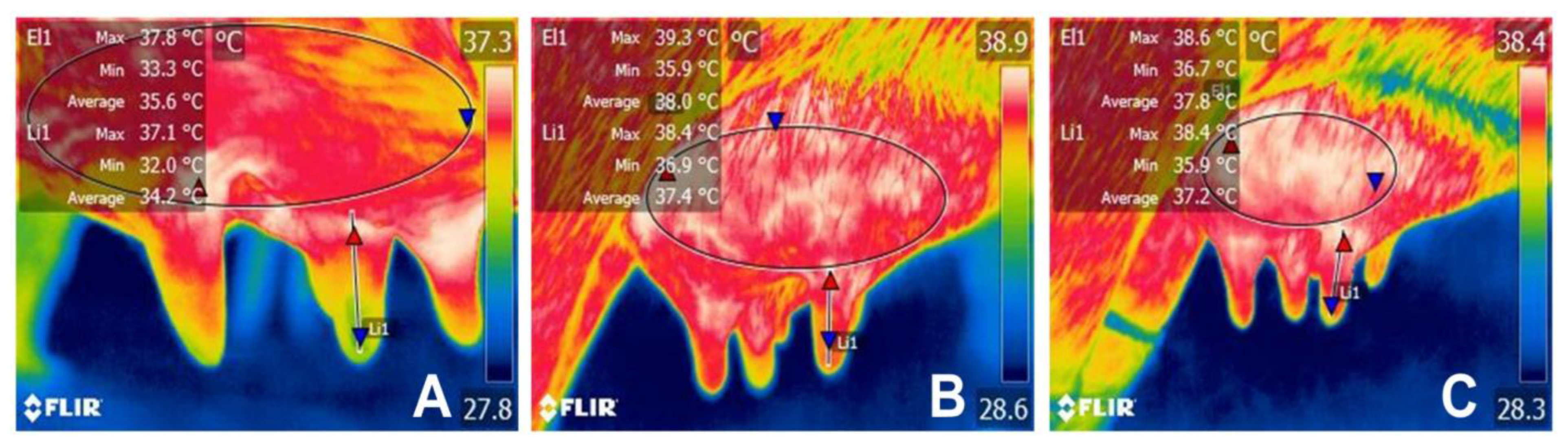 Animals 14 01066 g006