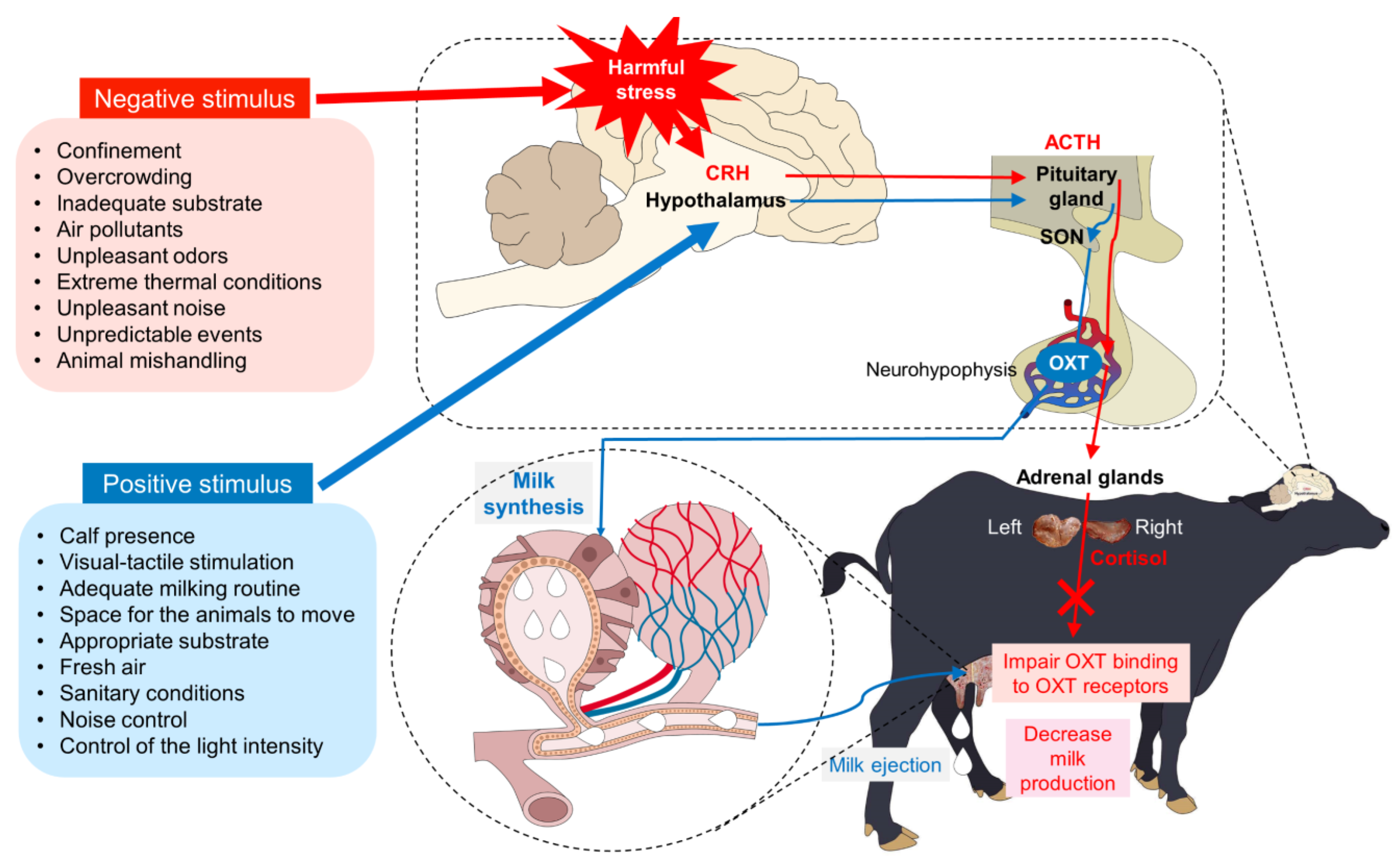 Animals 14 01066 g007