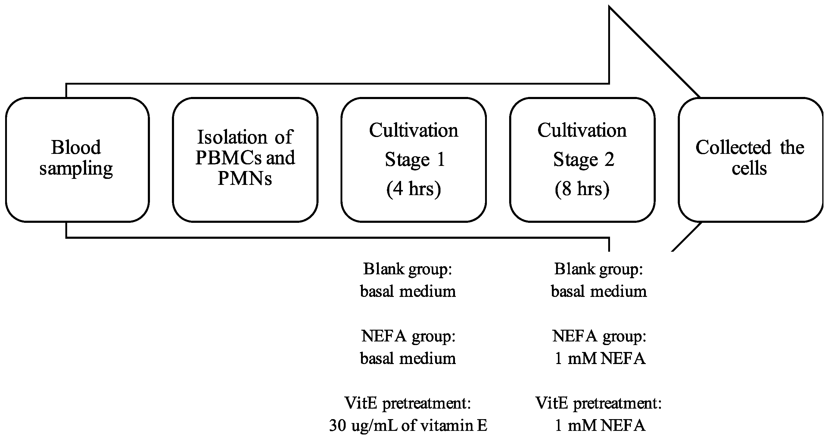 Animals 14 01079 g001 Animals 14 01079 g001