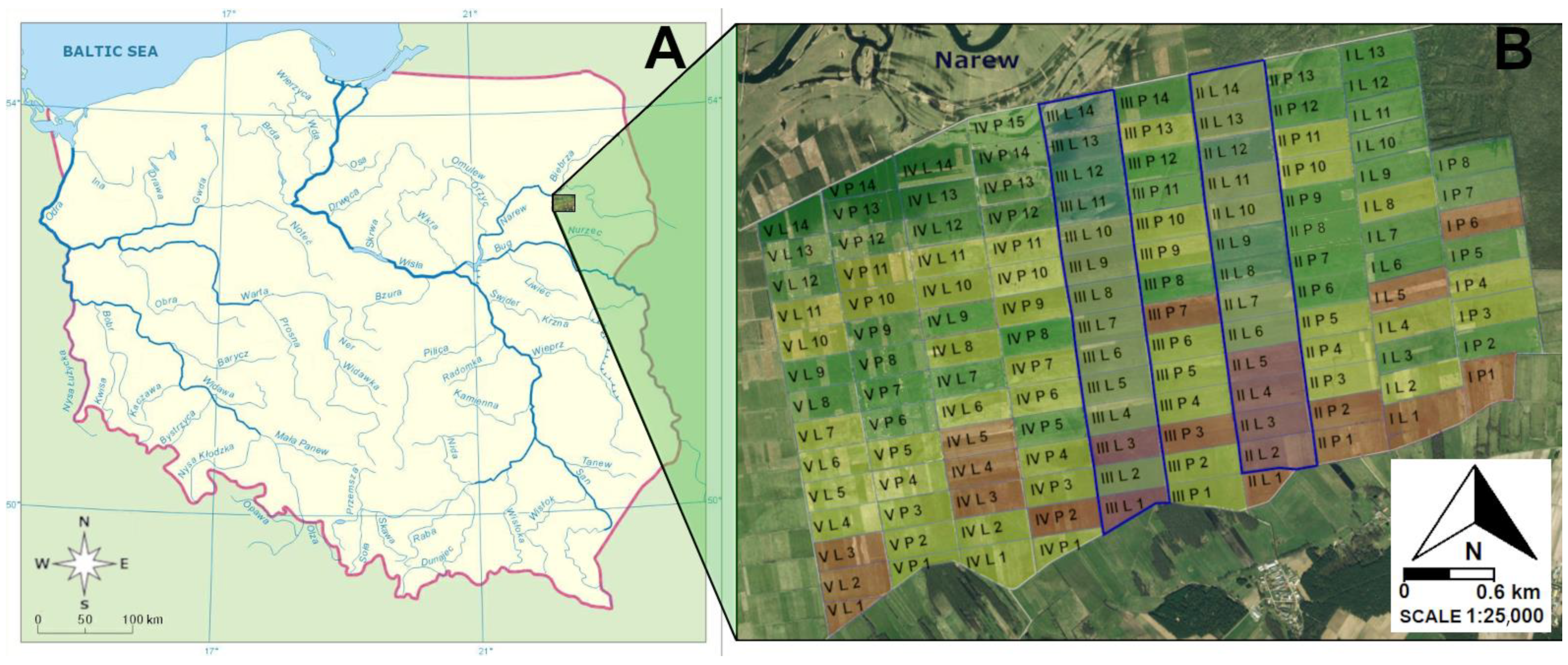 Animals 14 01093 g001