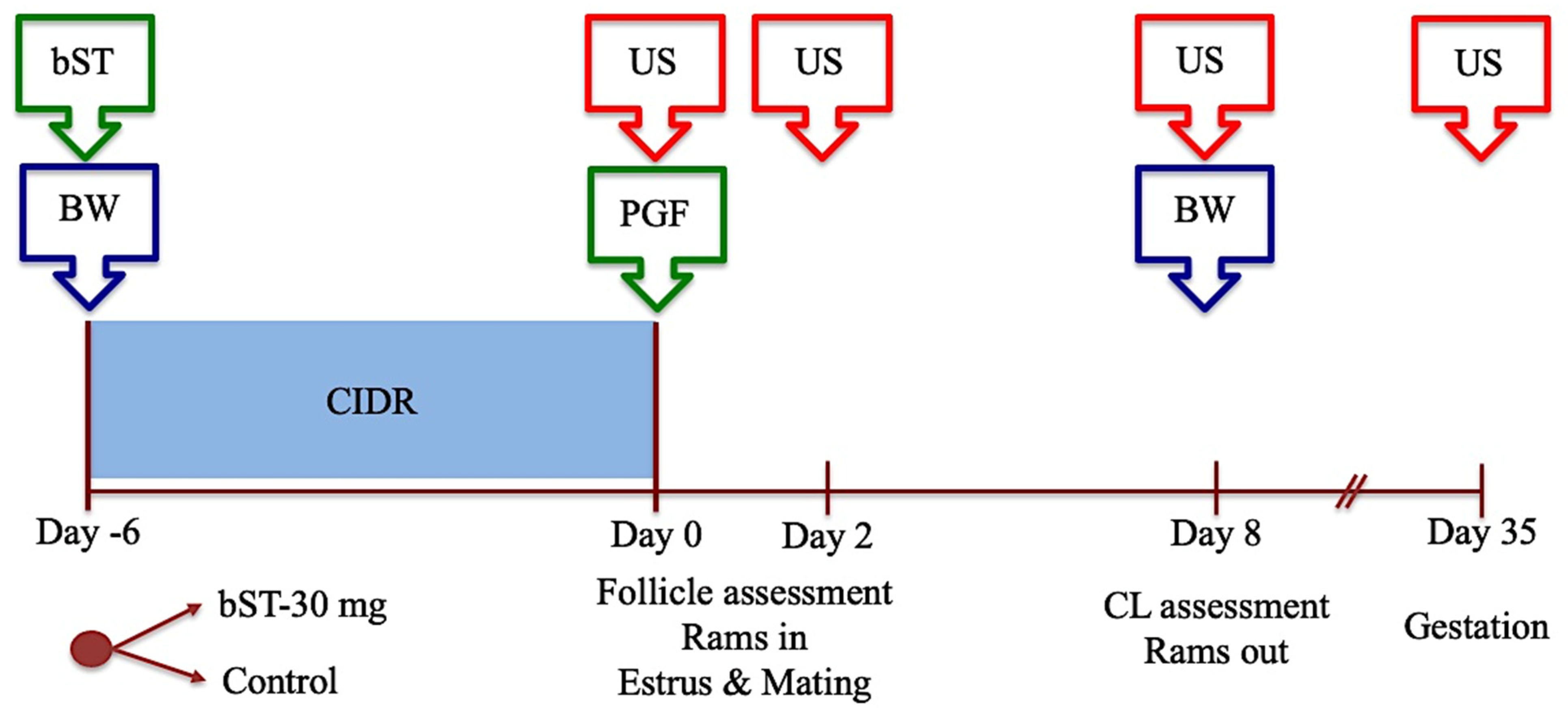 Animals 14 01097 g002 Animals 14 01097 g002