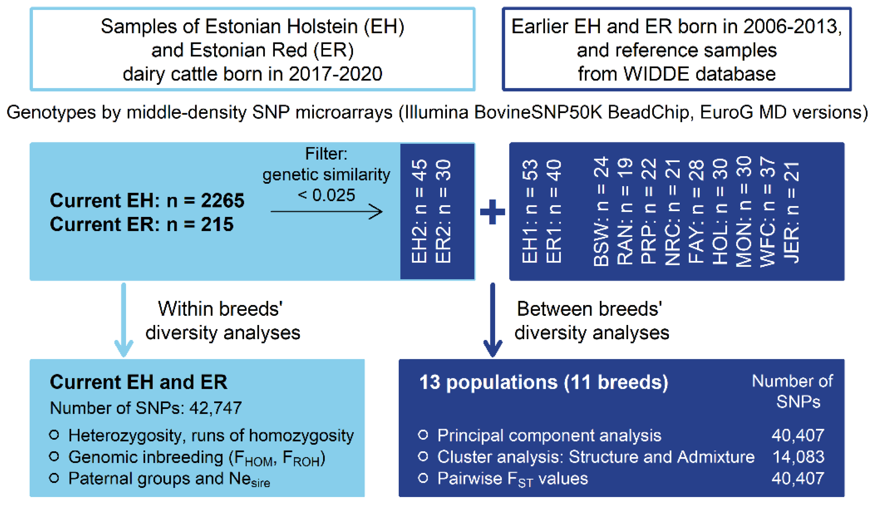 Animals 14 01101 g001 Animals 14 01101 g001