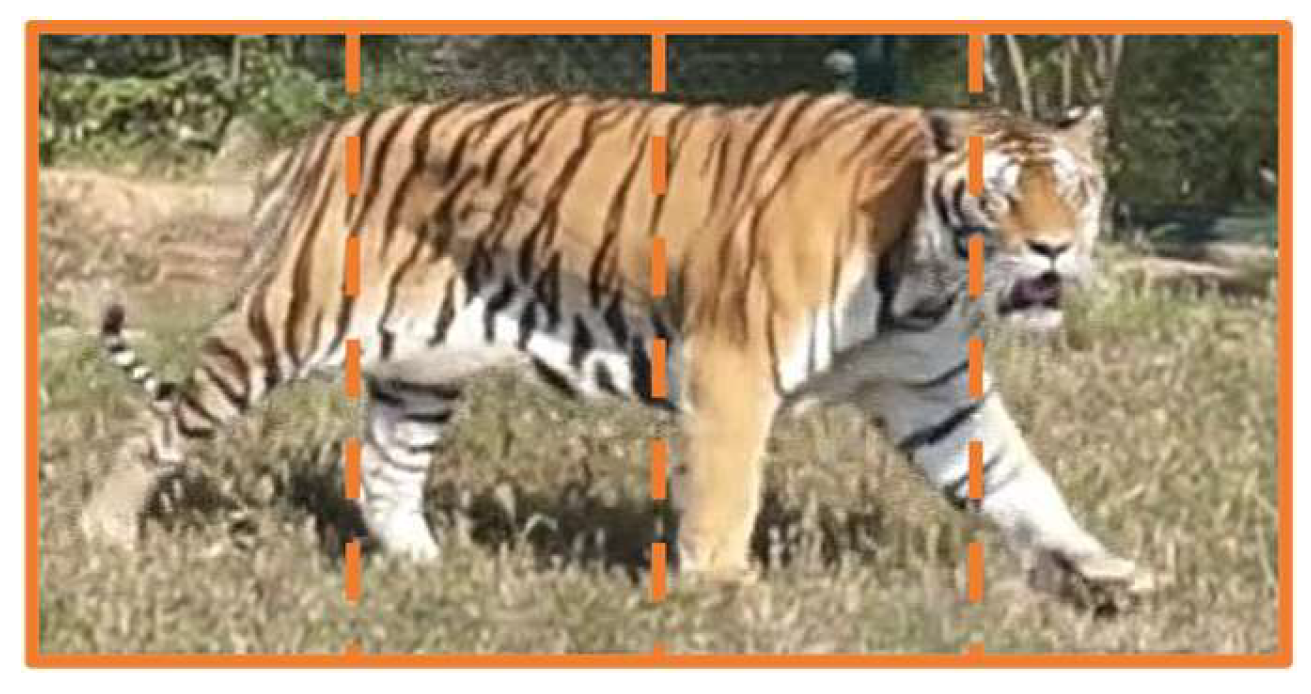 Animals 14 01106 g006