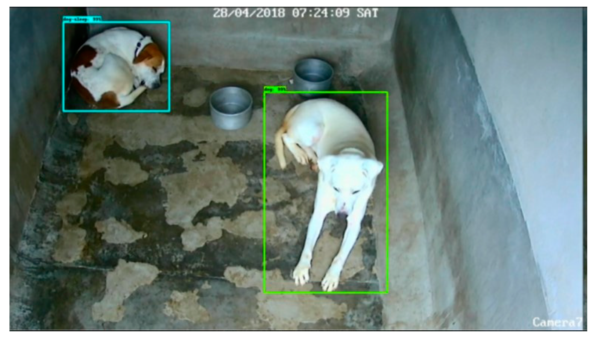 Animals 14 01109 g001