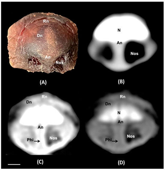Animals 14 01135 g003