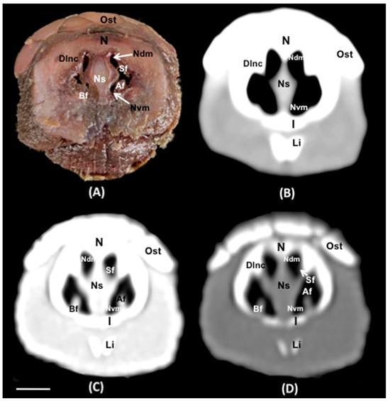 Animals 14 01135 g005