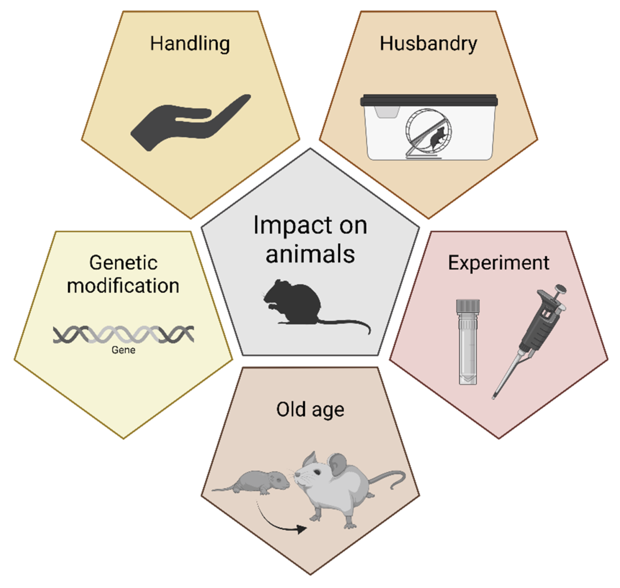 Animals 14 01136 g001