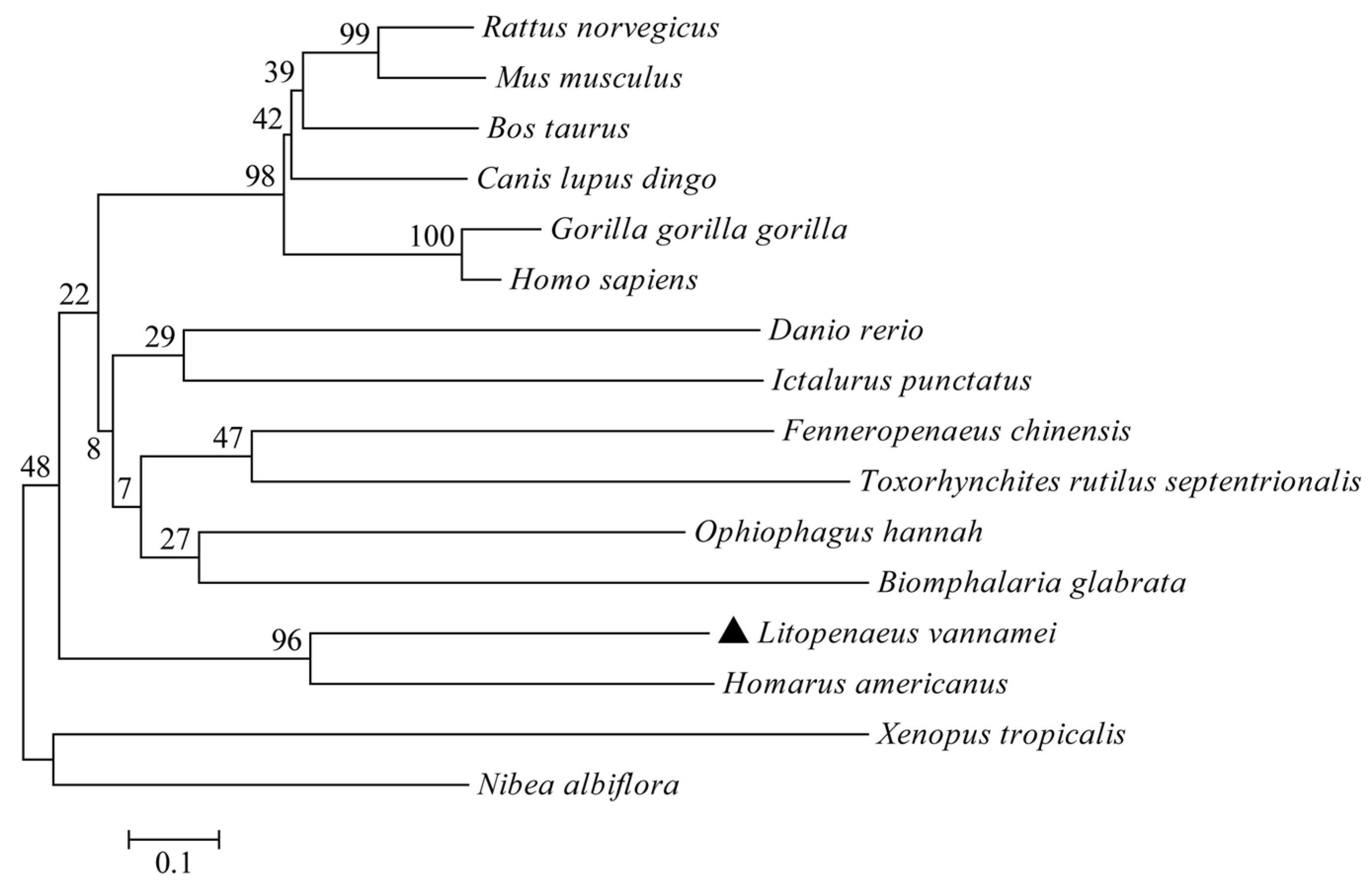 Animals 14 01137 g003 Animals 14 01137 g003