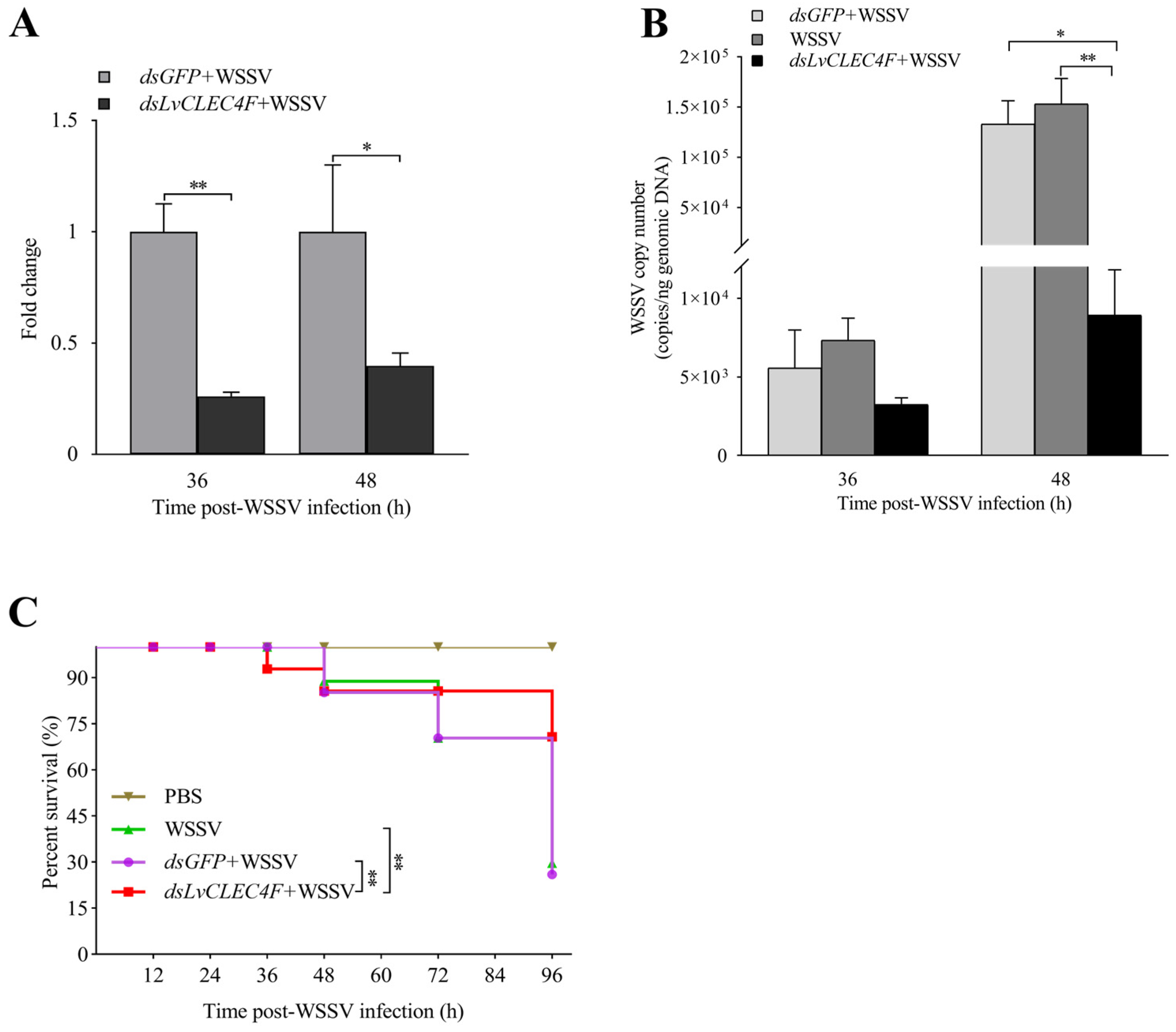 Animals 14 01137 g006 Animals 14 01137 g006