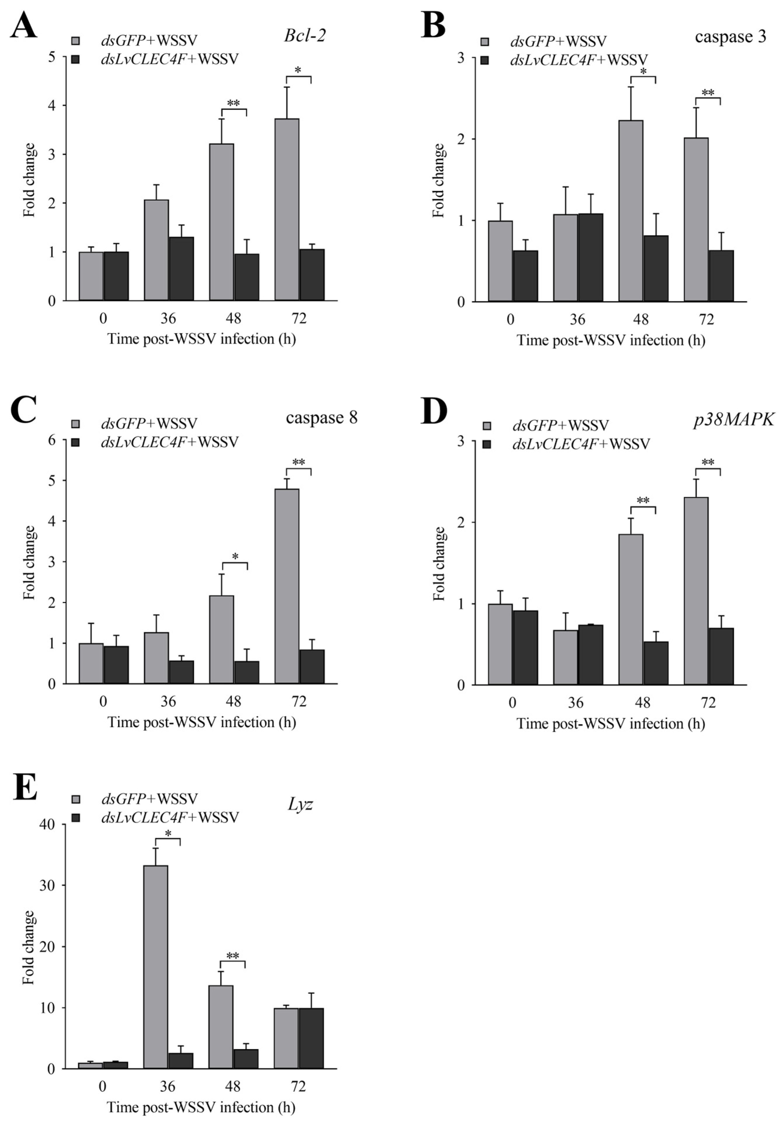 Animals 14 01137 g008 Animals 14 01137 g008