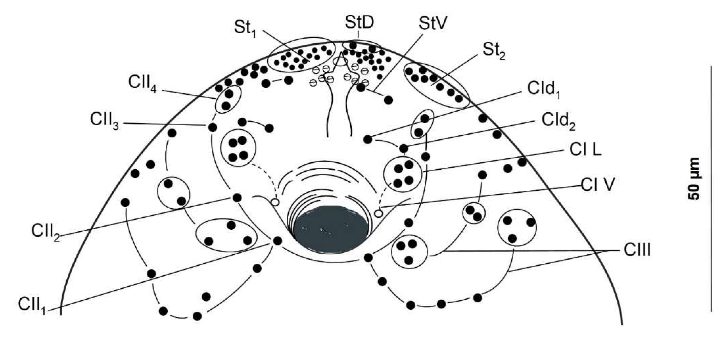 Animals 14 01154 g002