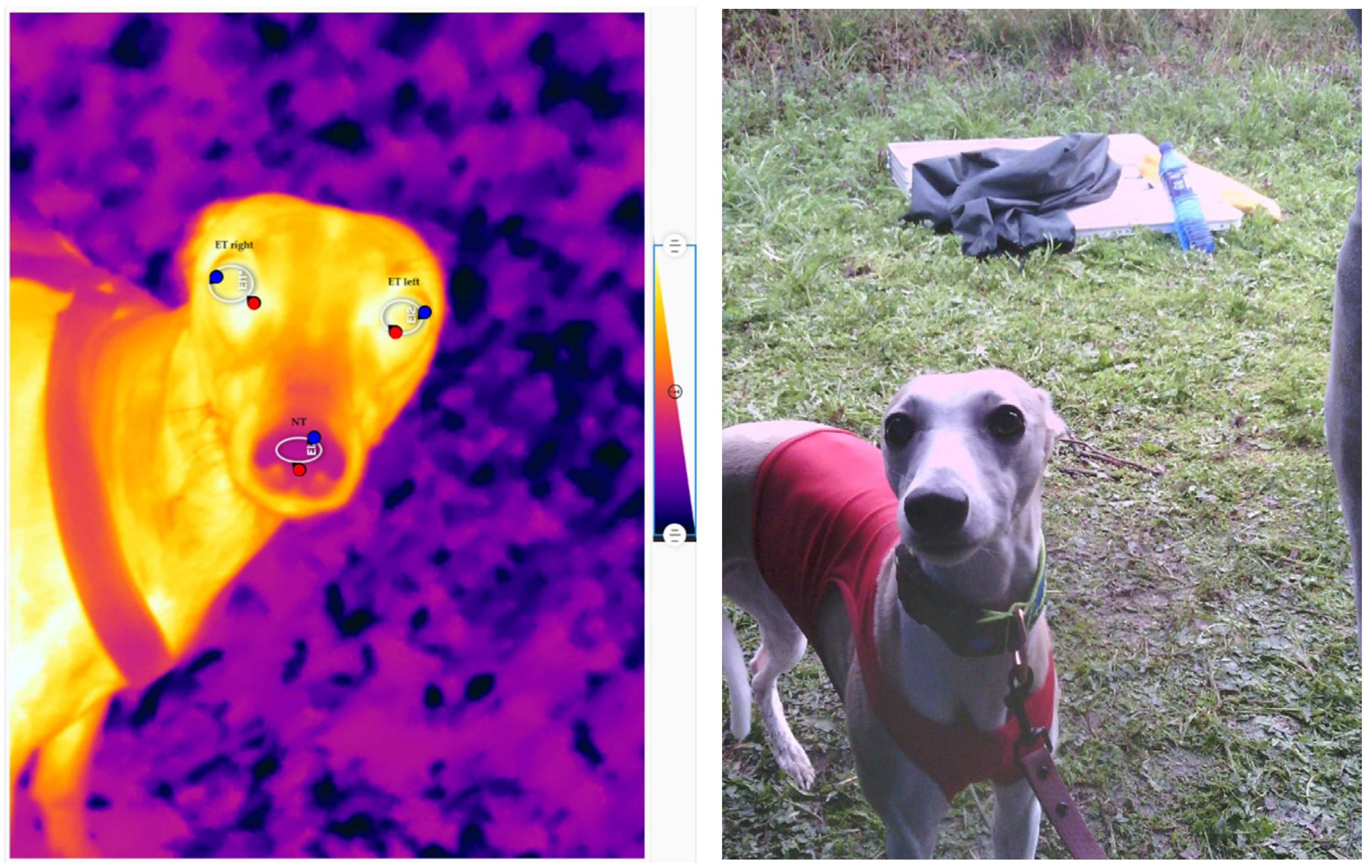 Animals 14 01180 g001