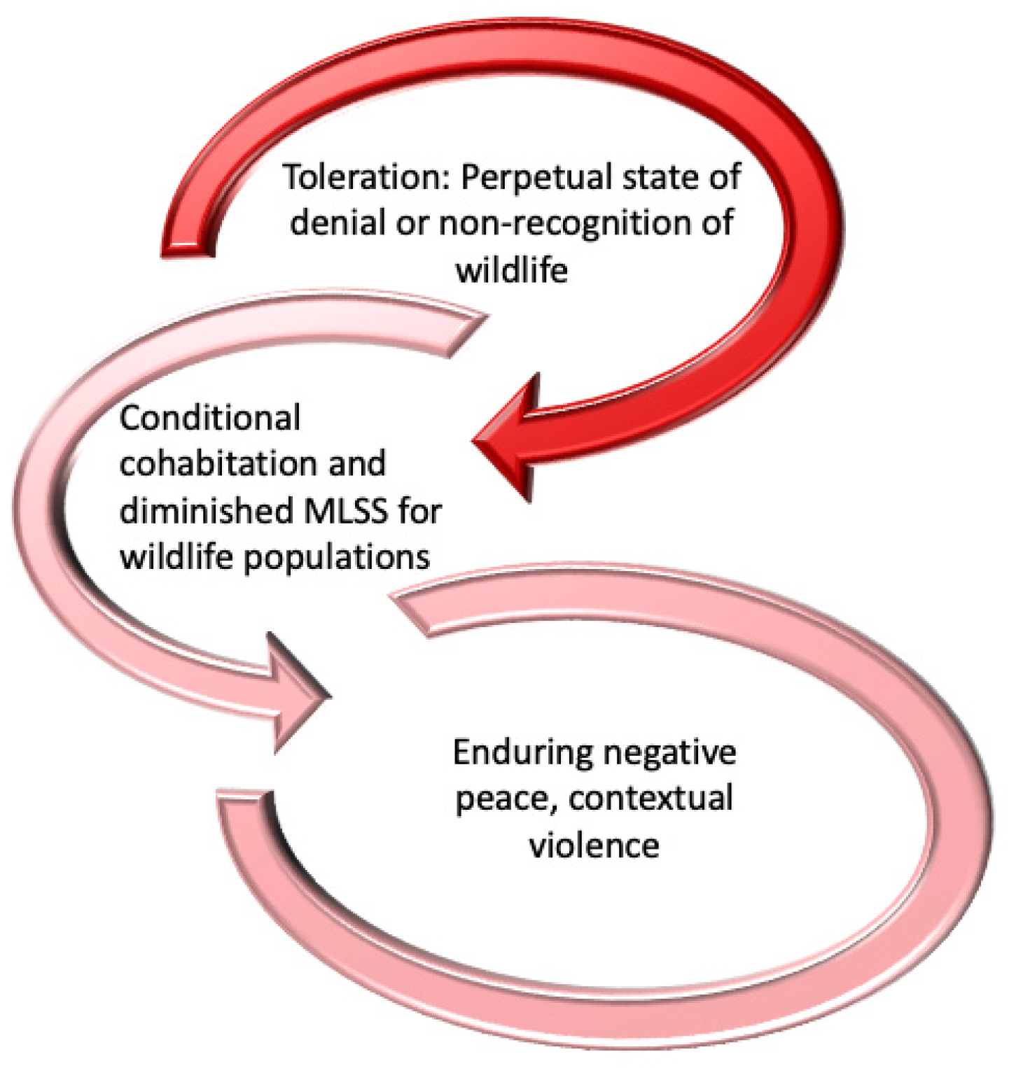 Animals 14 01185 g001