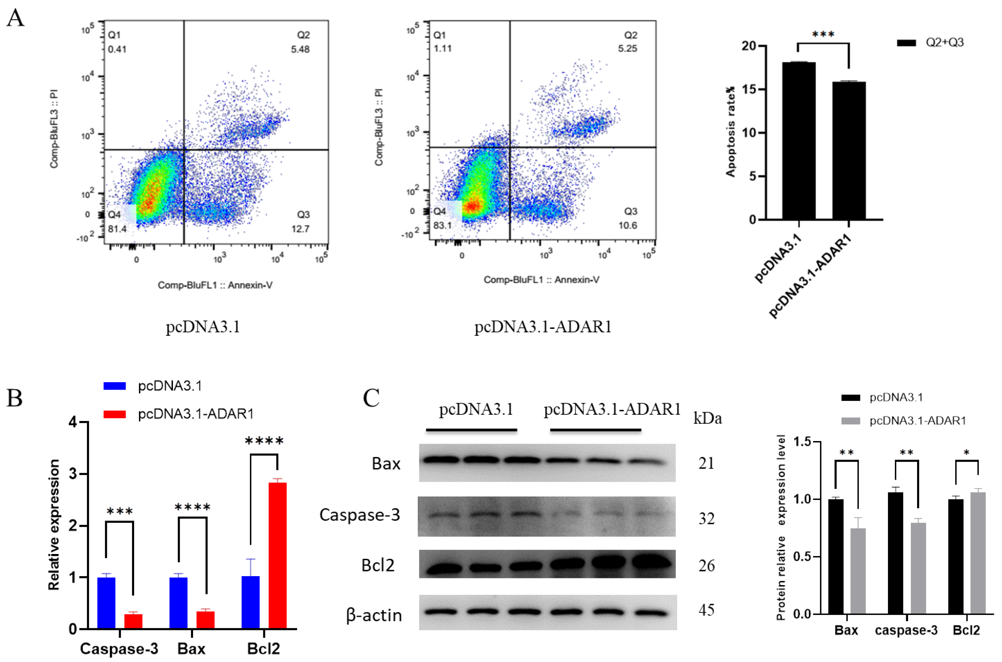 Animals 14 01201 g004