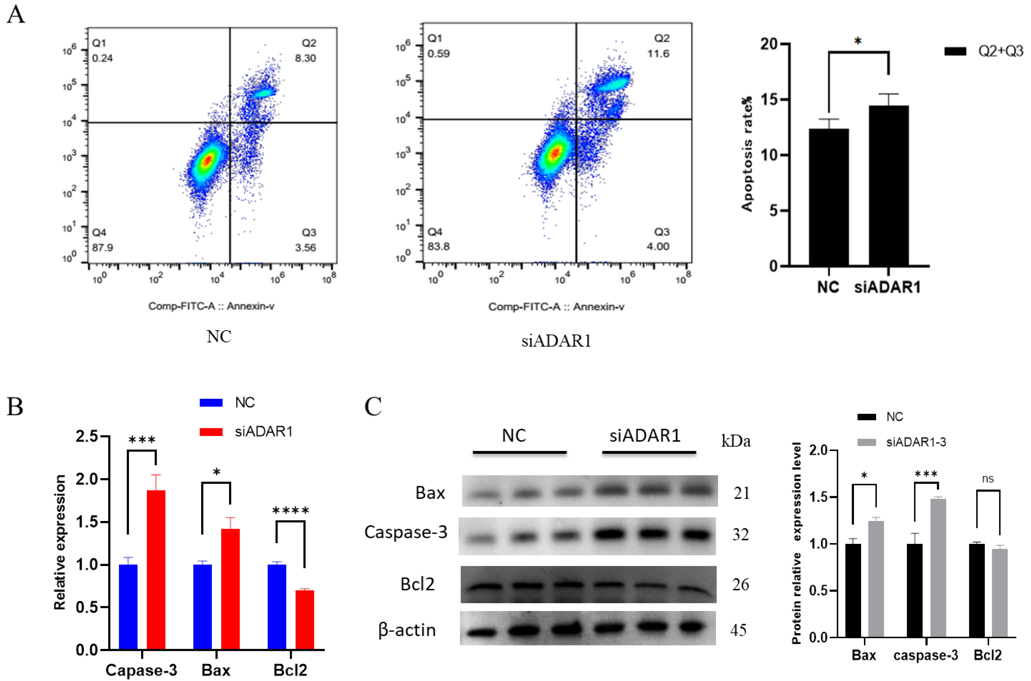 Animals 14 01201 g005