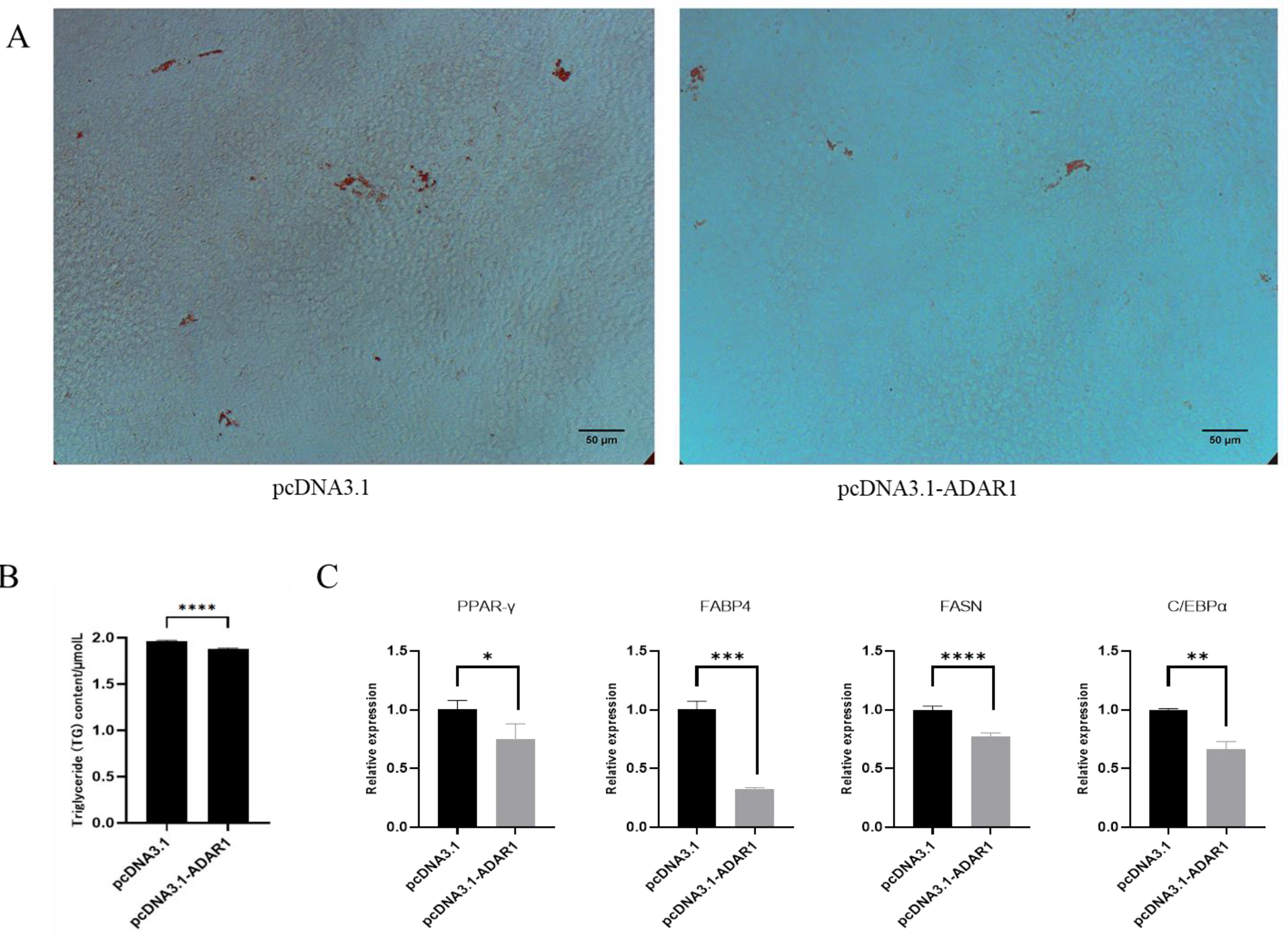 Animals 14 01201 g006
