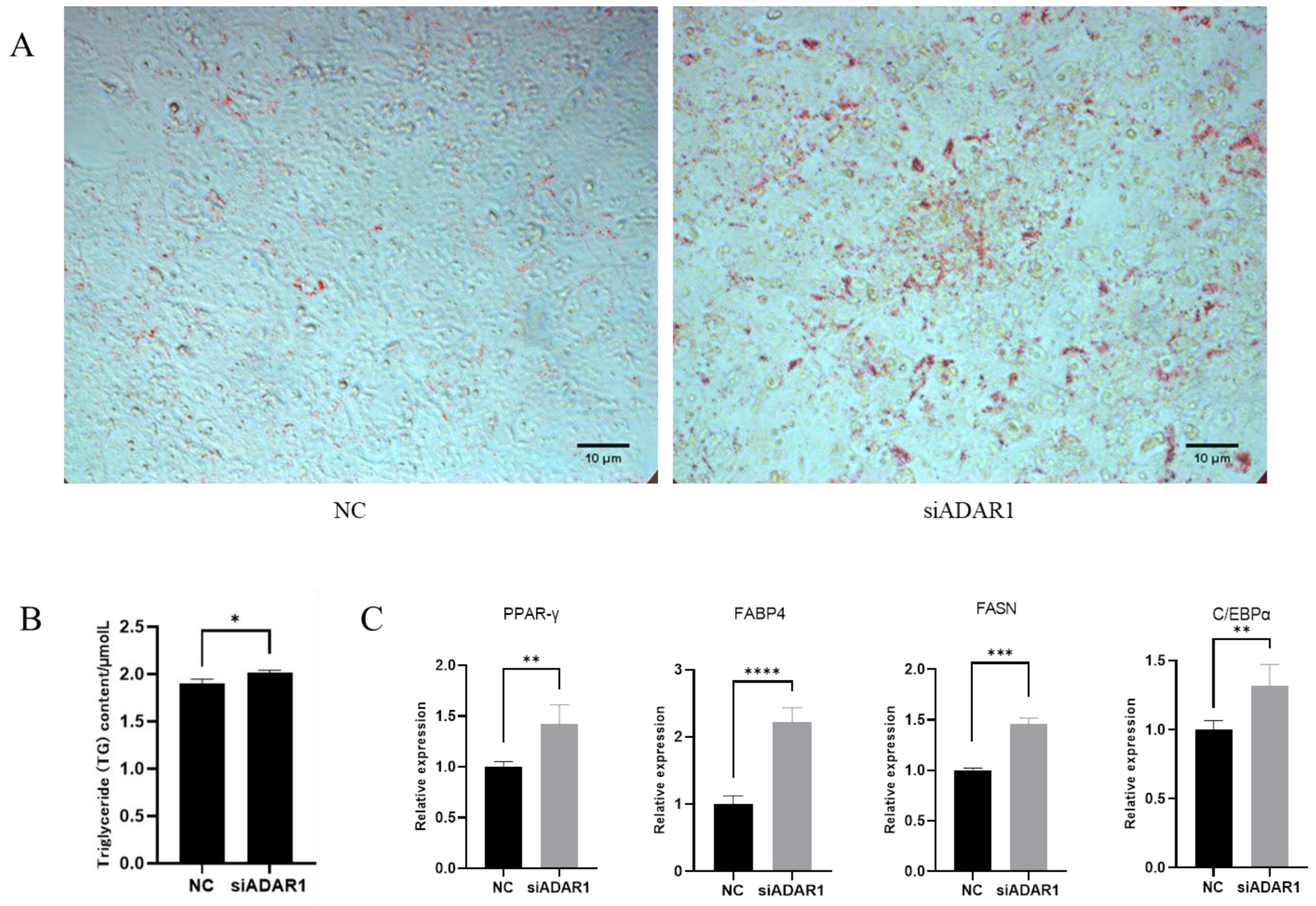 Animals 14 01201 g007