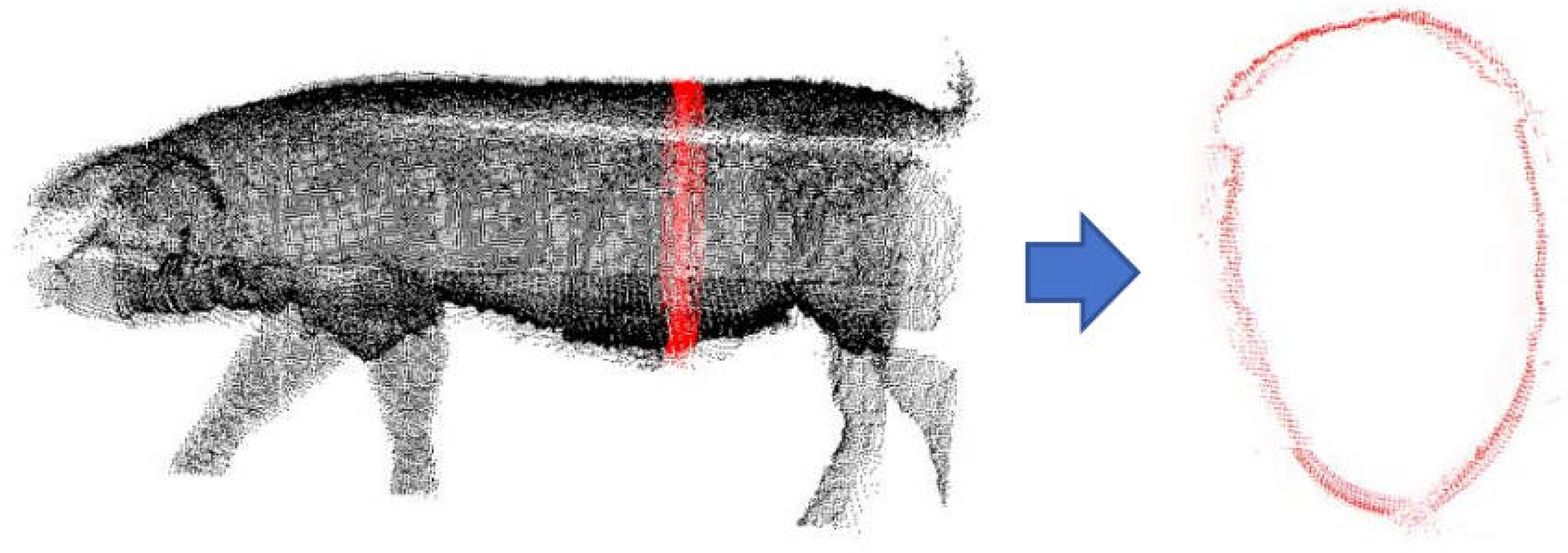 Animals 14 01210 g001