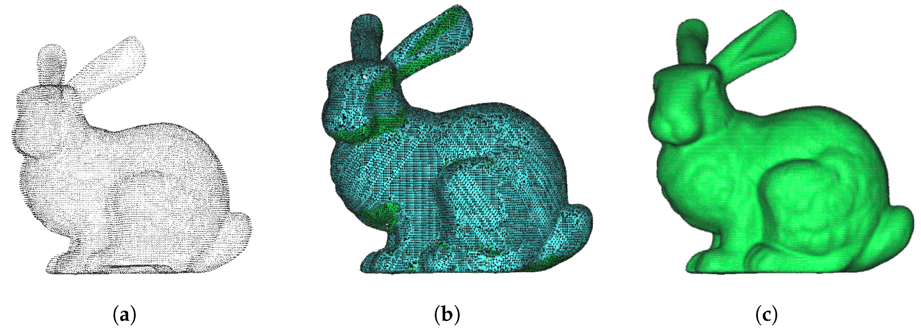 Animals 14 01210 g002