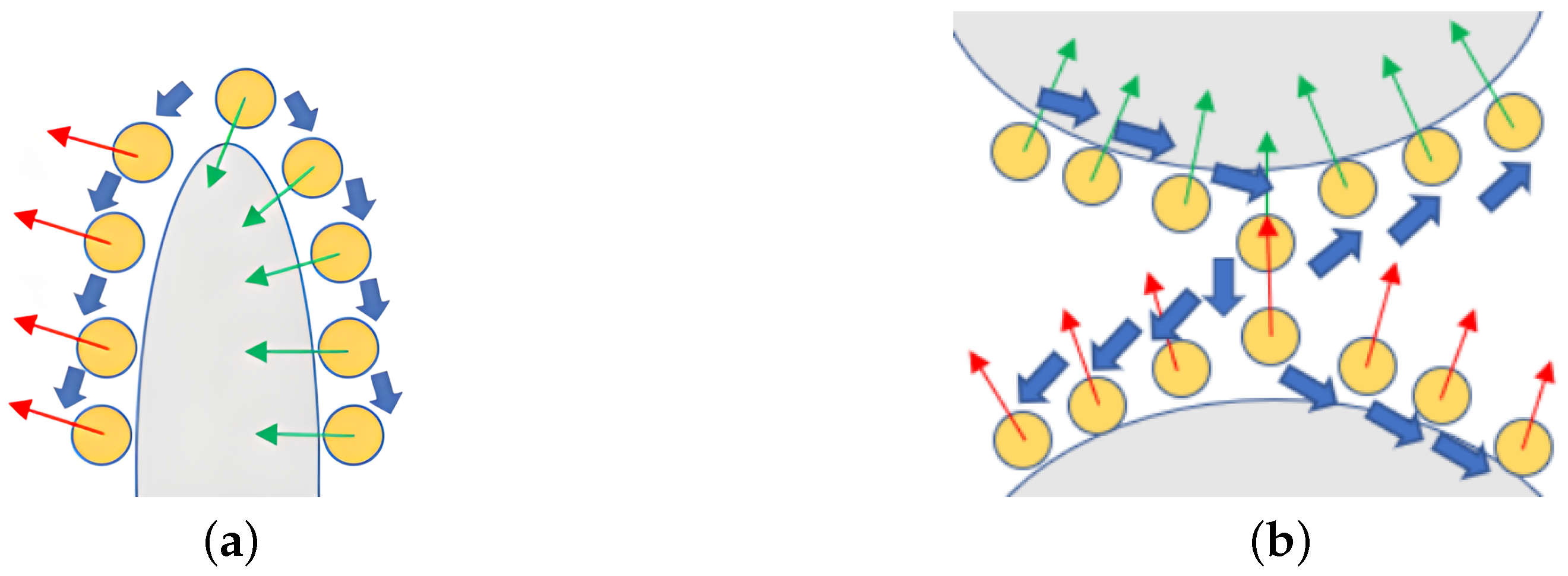 Animals 14 01210 g009