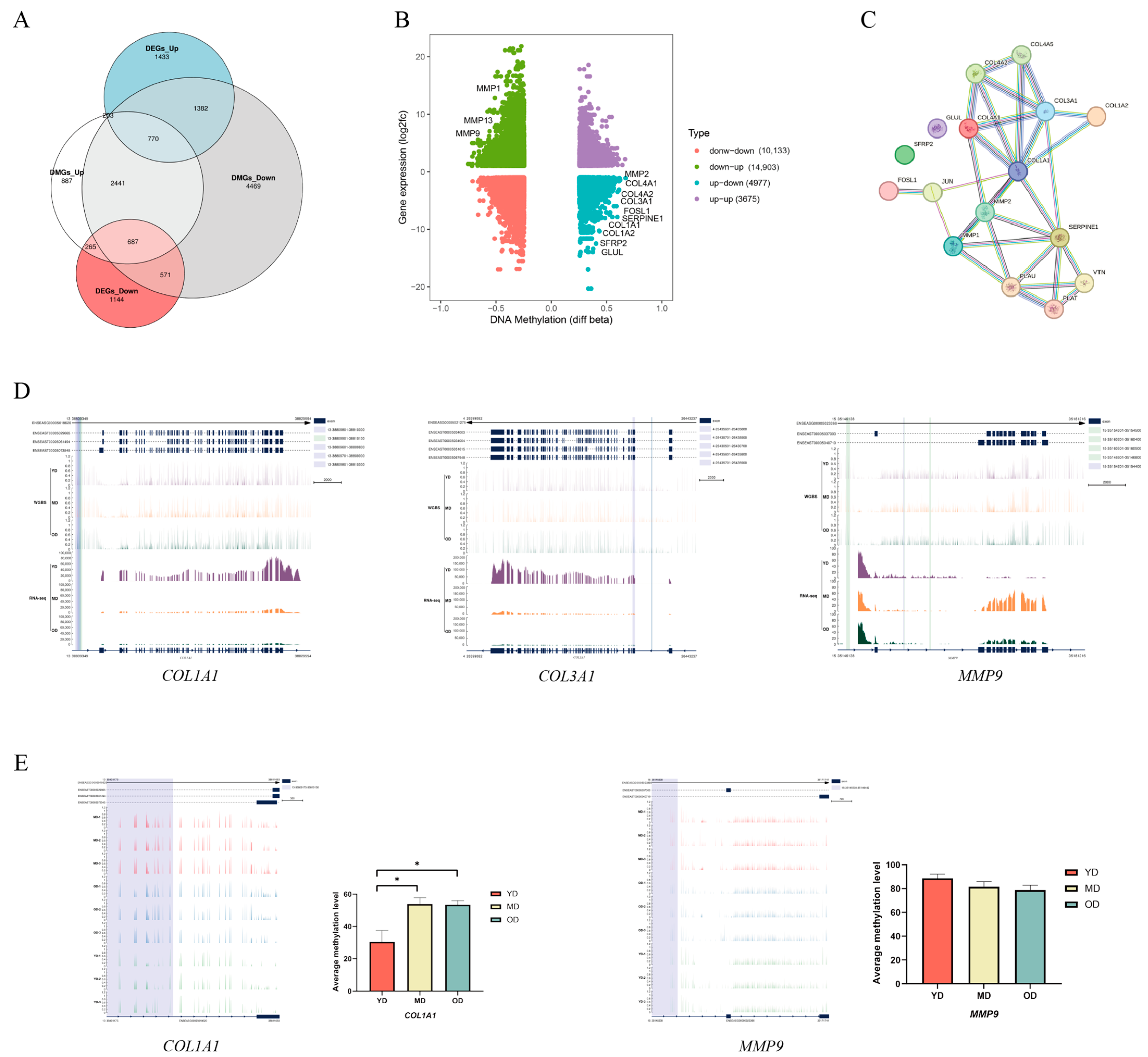 Animals 14 01222 g006