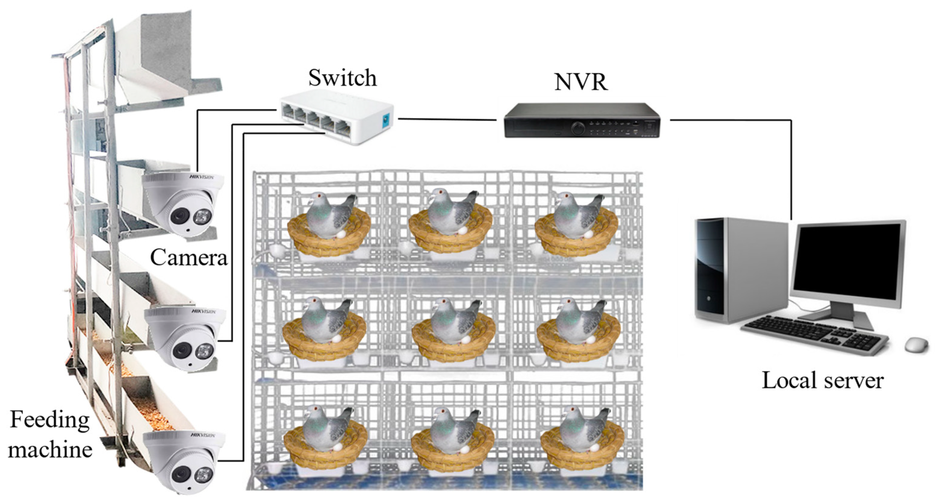 Animals 14 01226 g001