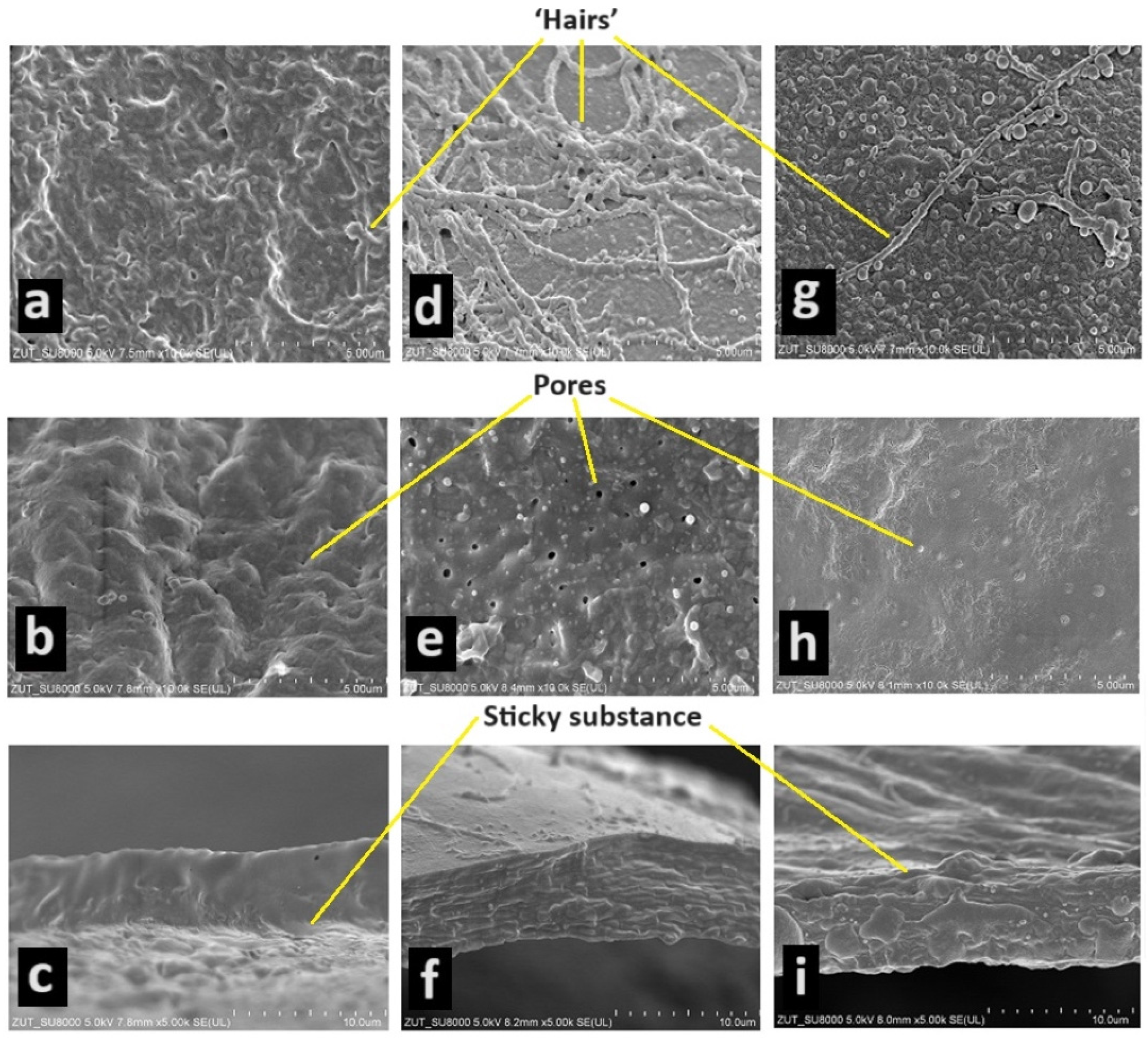 Animals 14 01238 g001