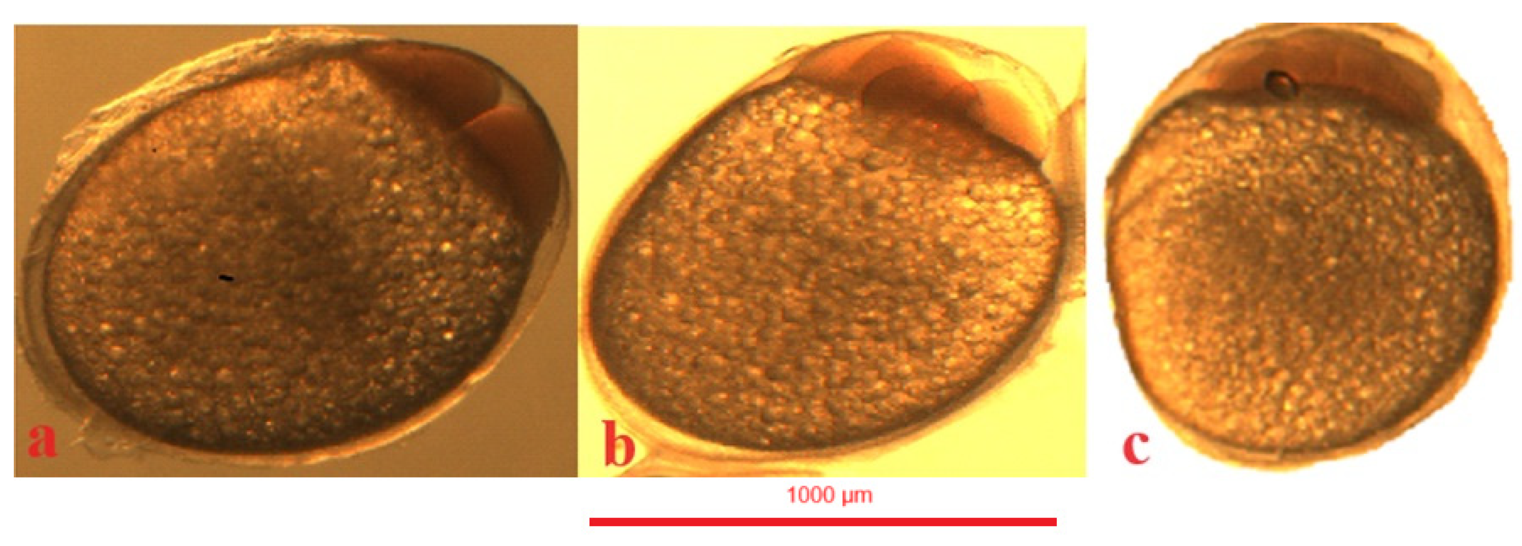 Animals 14 01238 g006