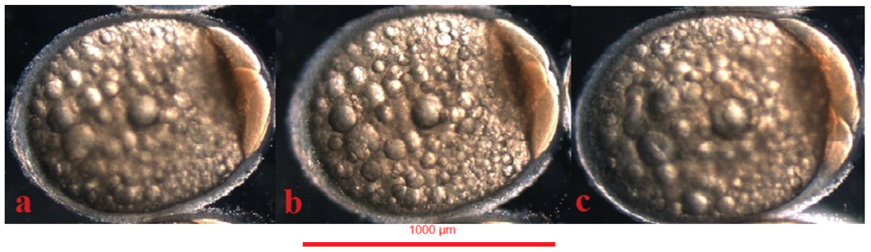 Animals 14 01238 g007