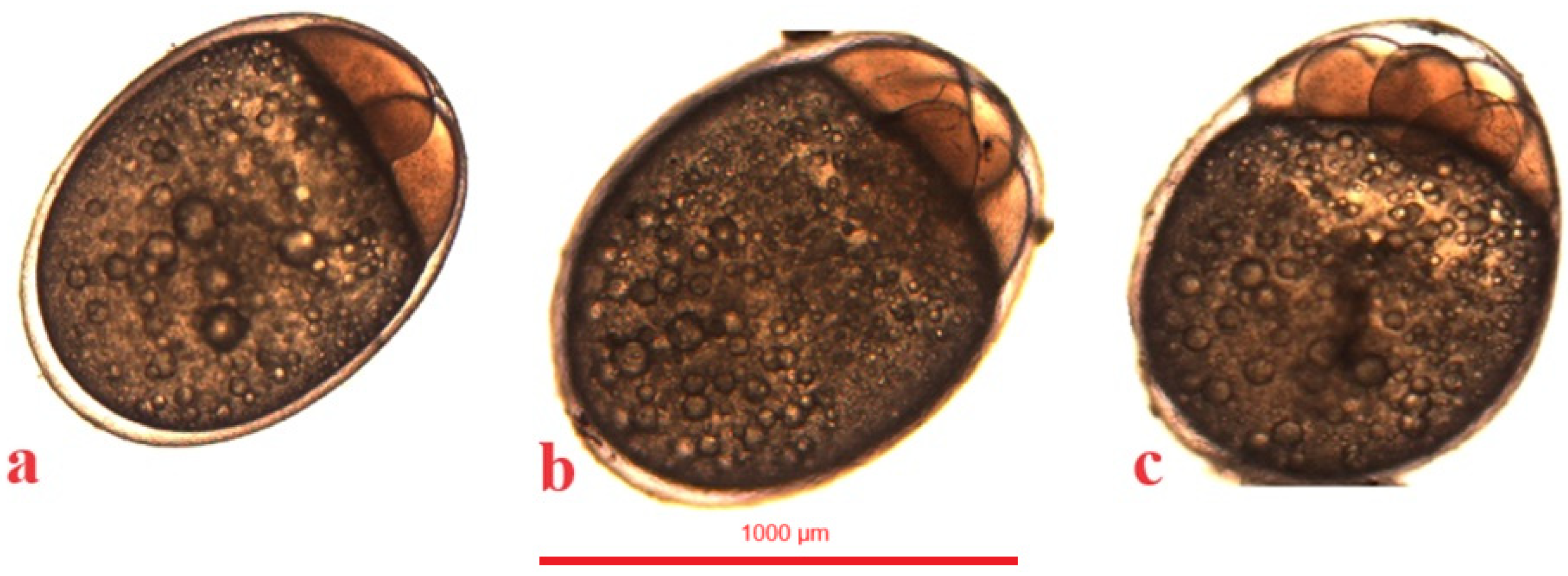 Animals 14 01238 g008