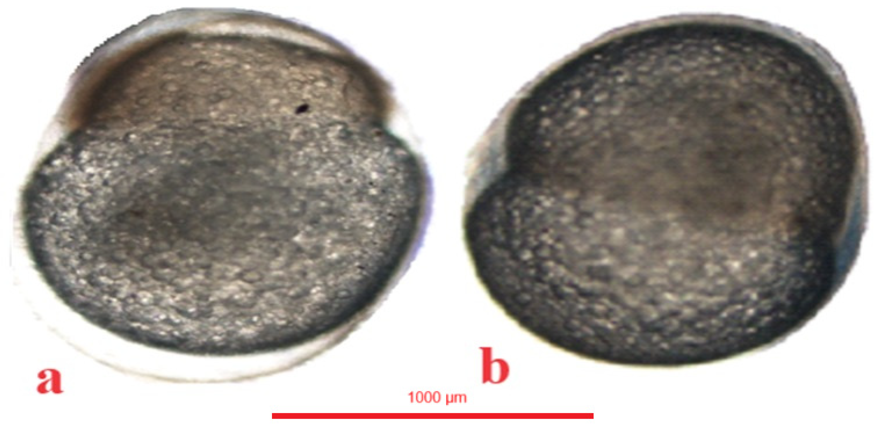 Animals 14 01238 g009